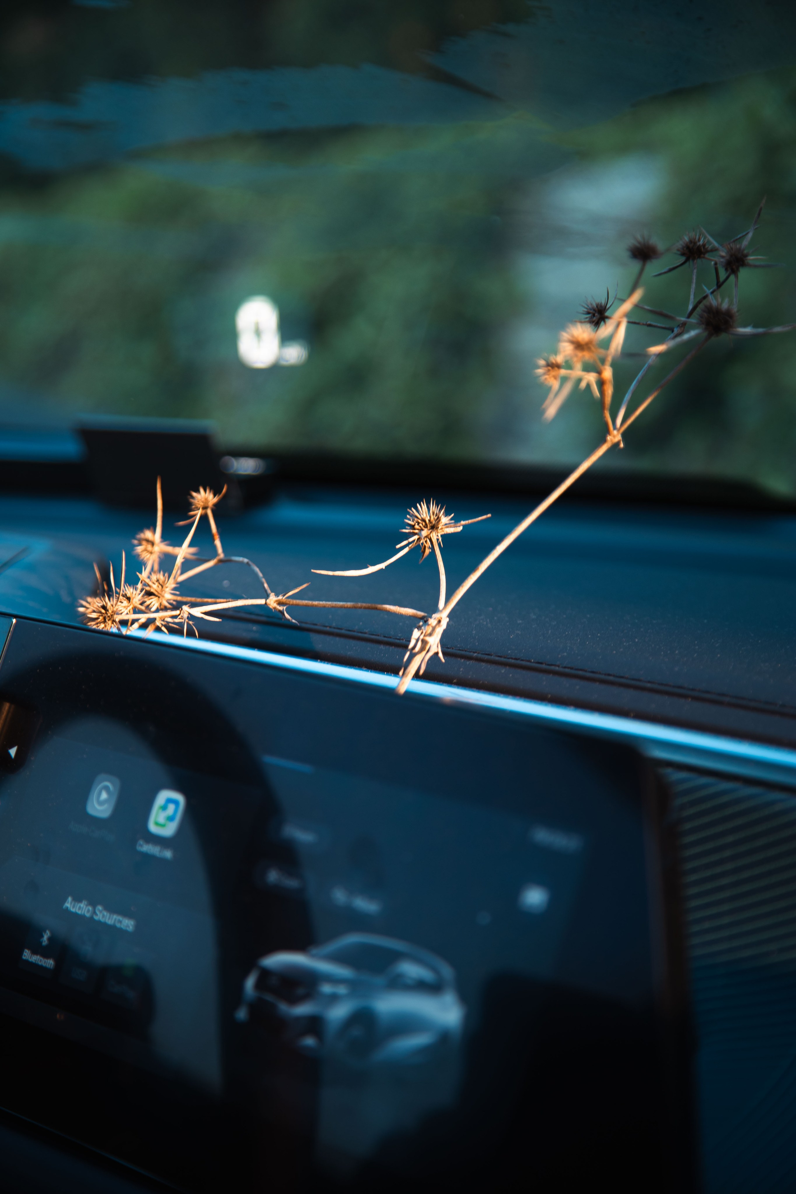 Главрыба. Dmitriy [KCCC] is a pretty cool photographer