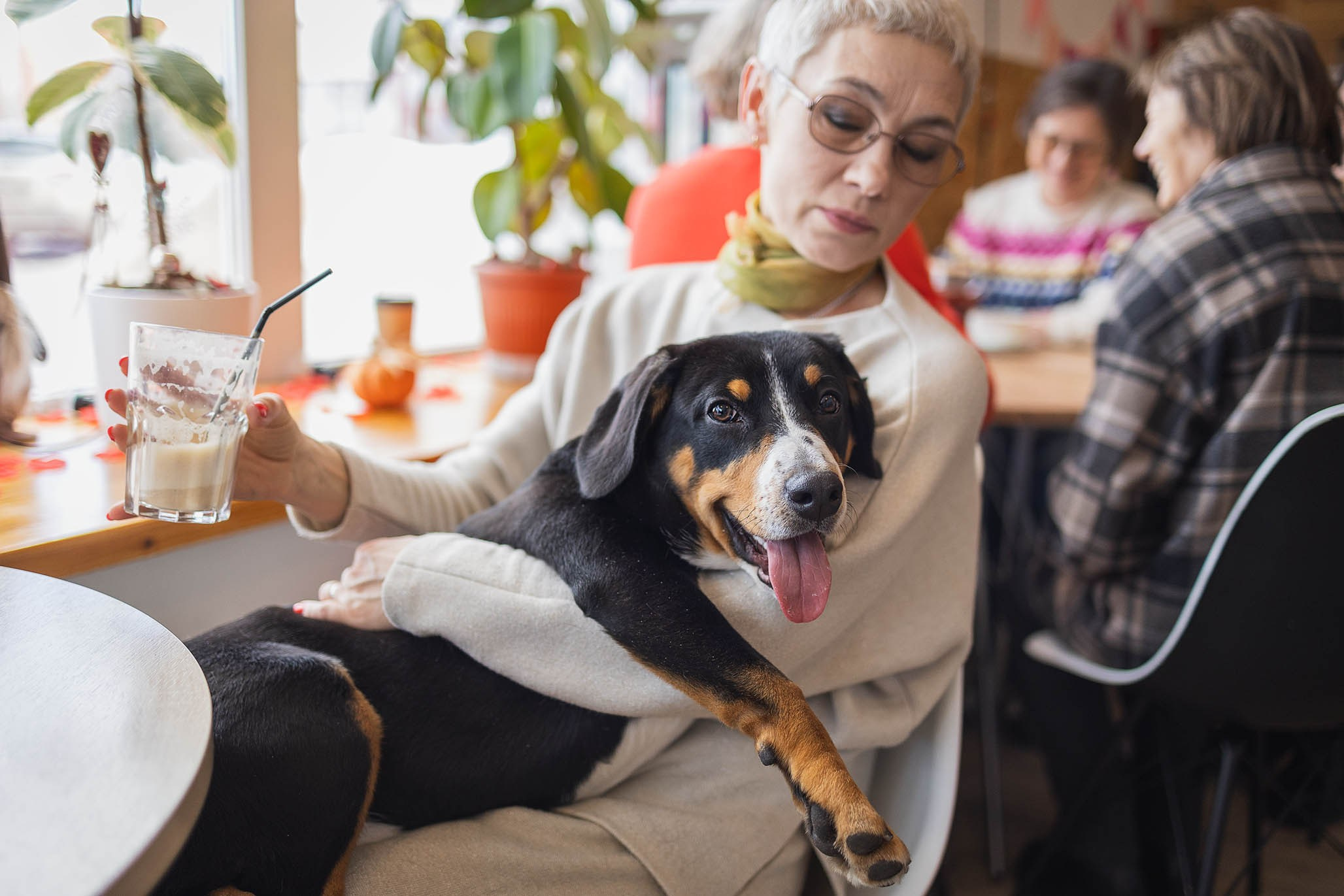 Кафе. Фотограф-анималист Александра Шеремет