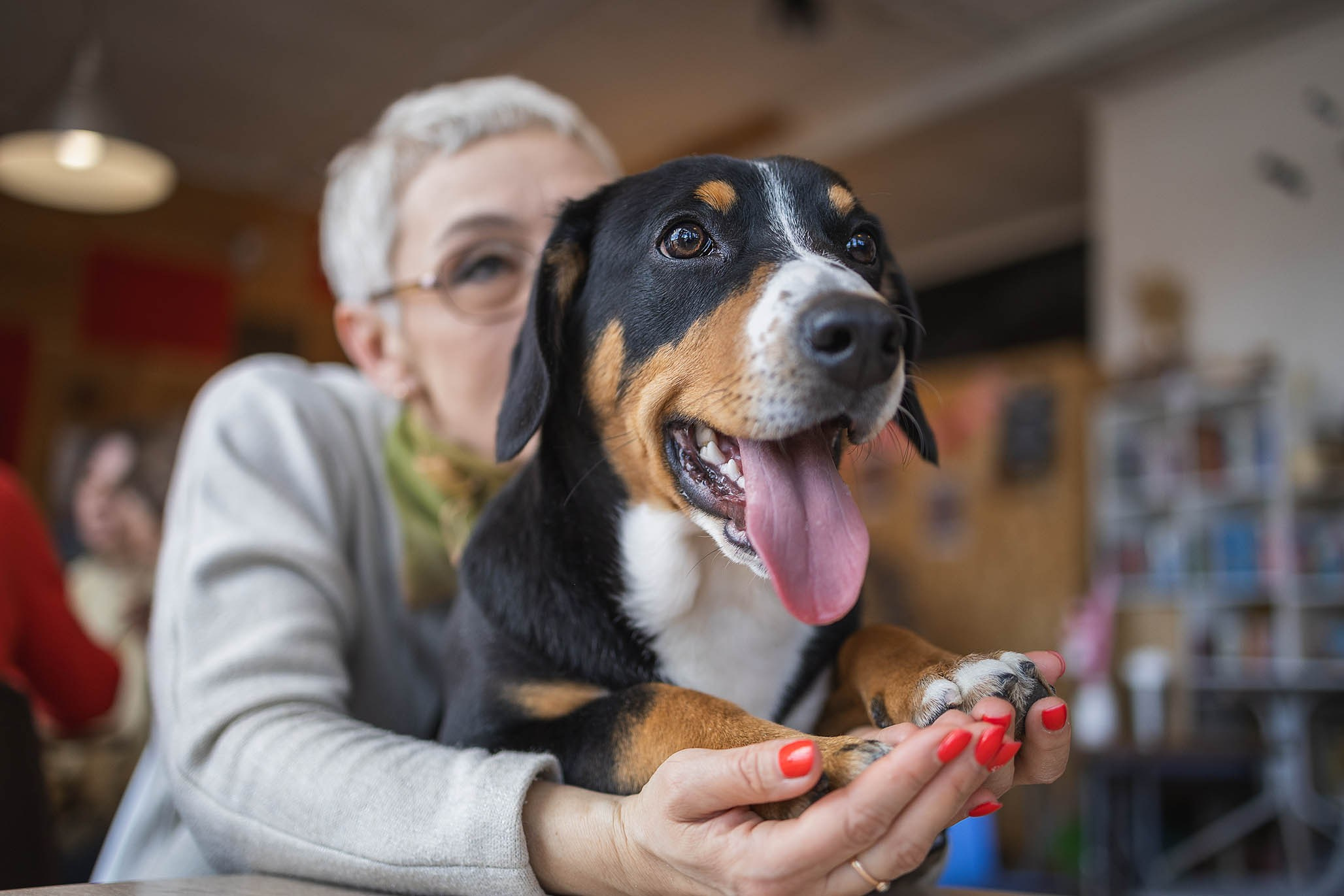 Кафе. Фотограф-анималист Александра Шеремет