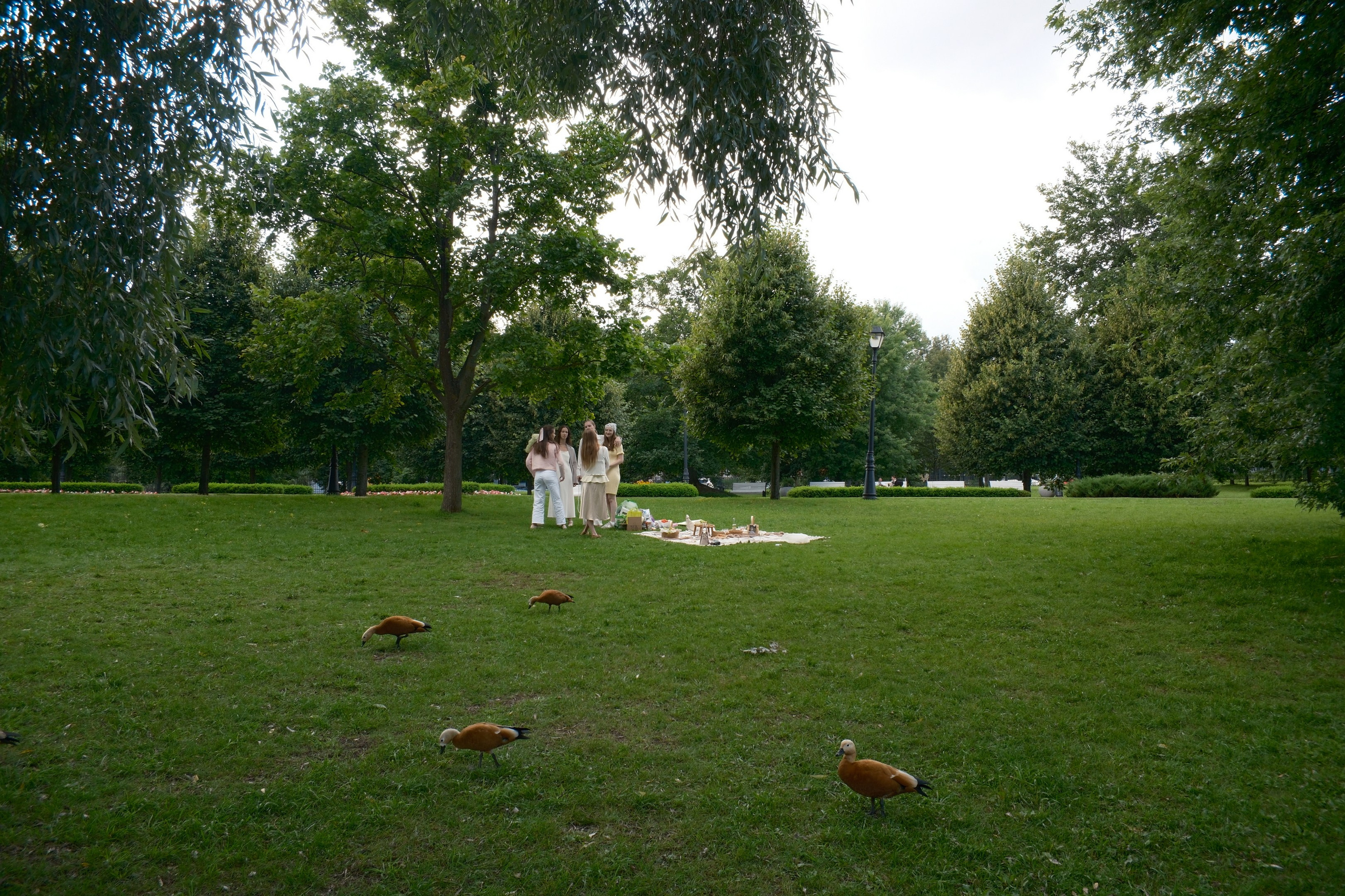 Царицыно 10.08.2025. Улица, люди, жизнь…