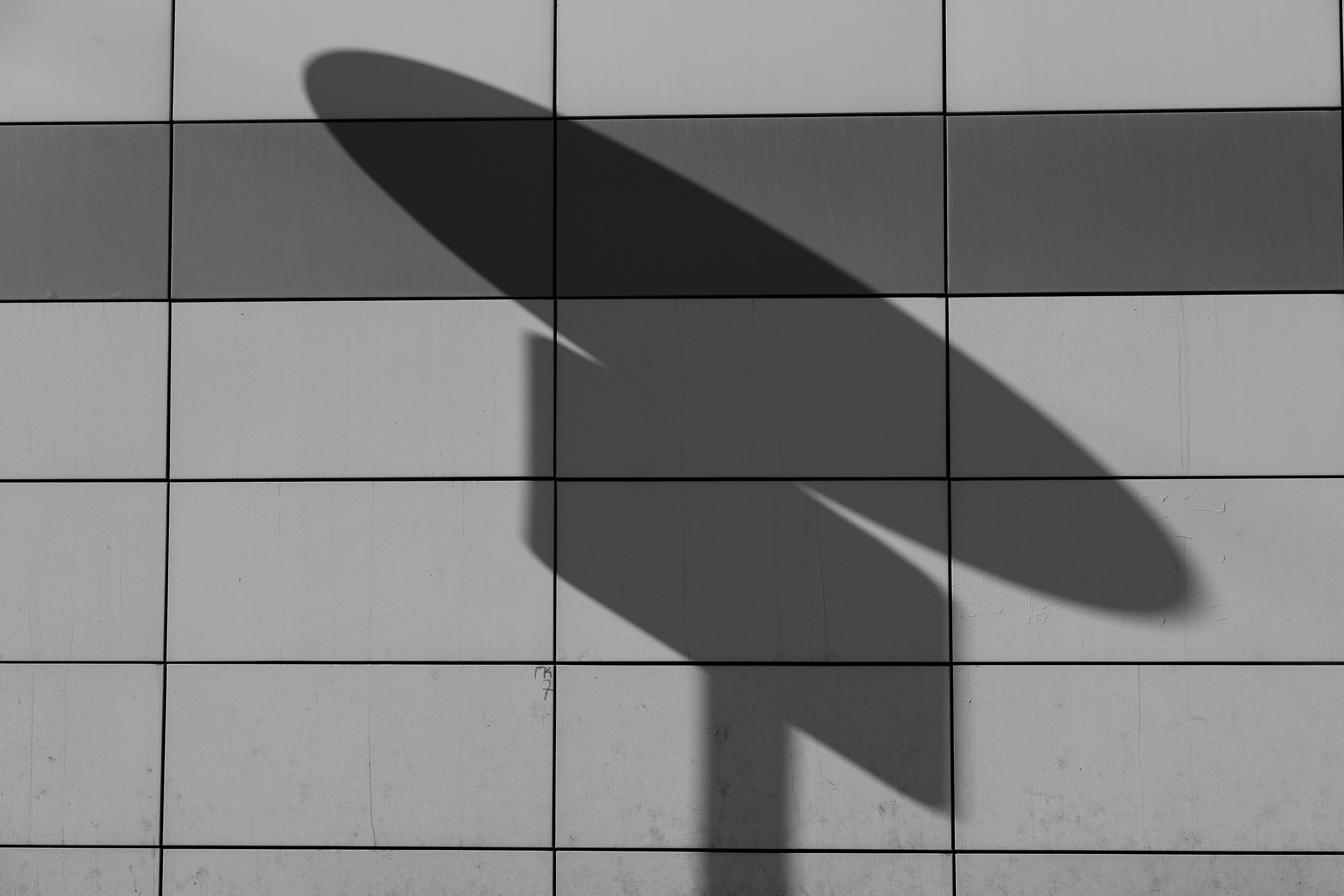 Art prints. Фотограф алина стерхова, алина стерхова фотограф, фотограф москва