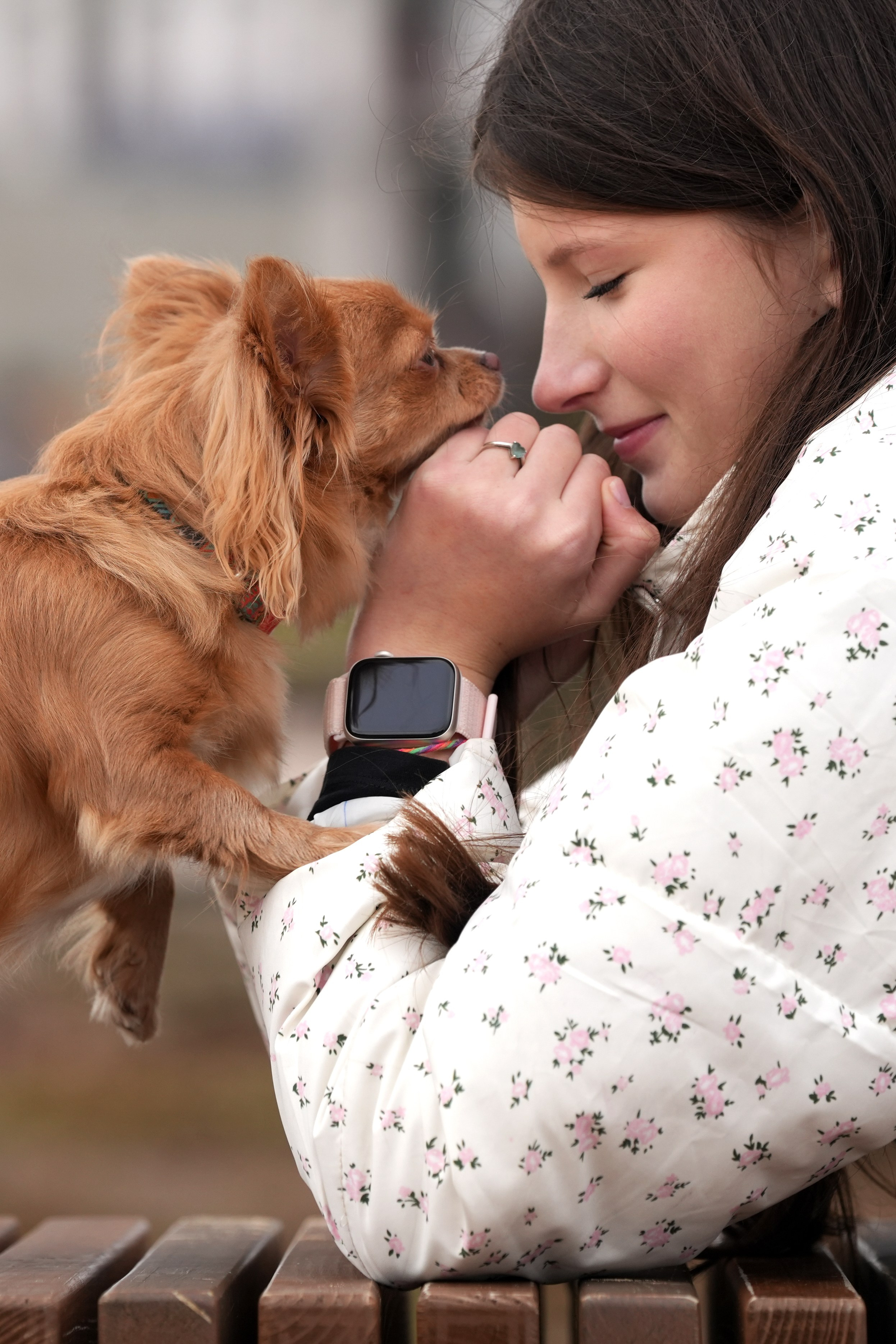 Фотосессия девушки с собакой Чихуа-хуа. Фотосъемка с собакой. Фотограф анималист. Лав-стори с собакой