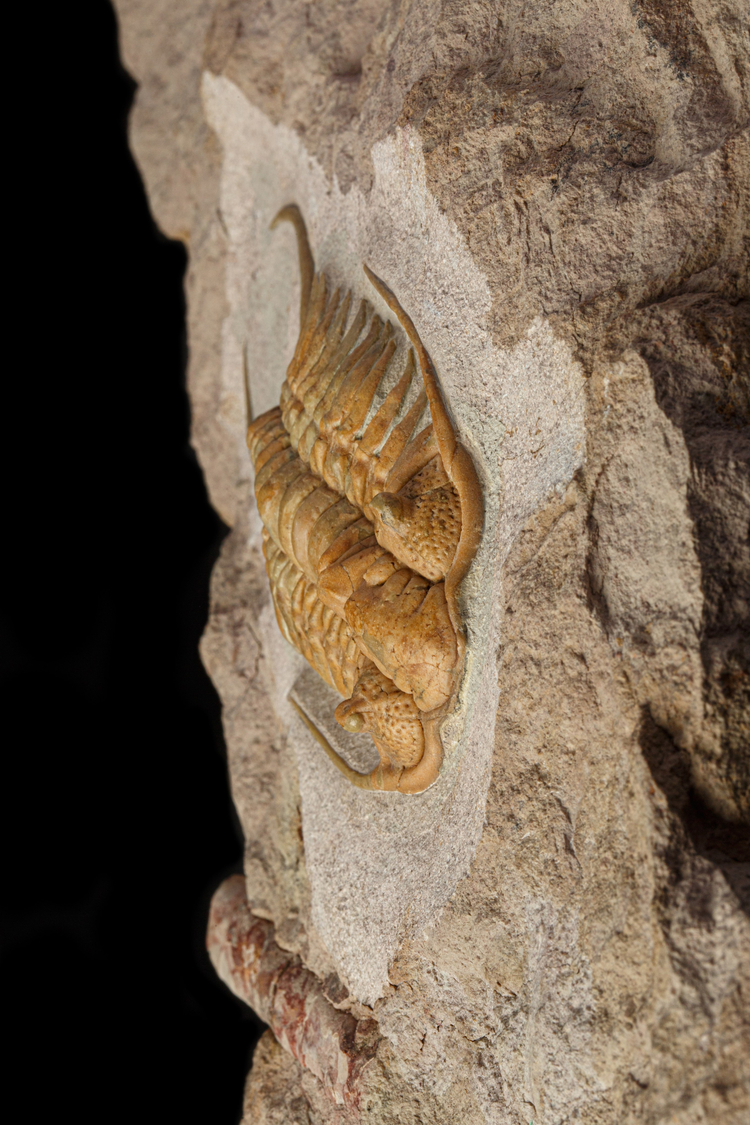 Профессиональная обработка натуральных камней, минералов и ископаемых | Студия SVITHART