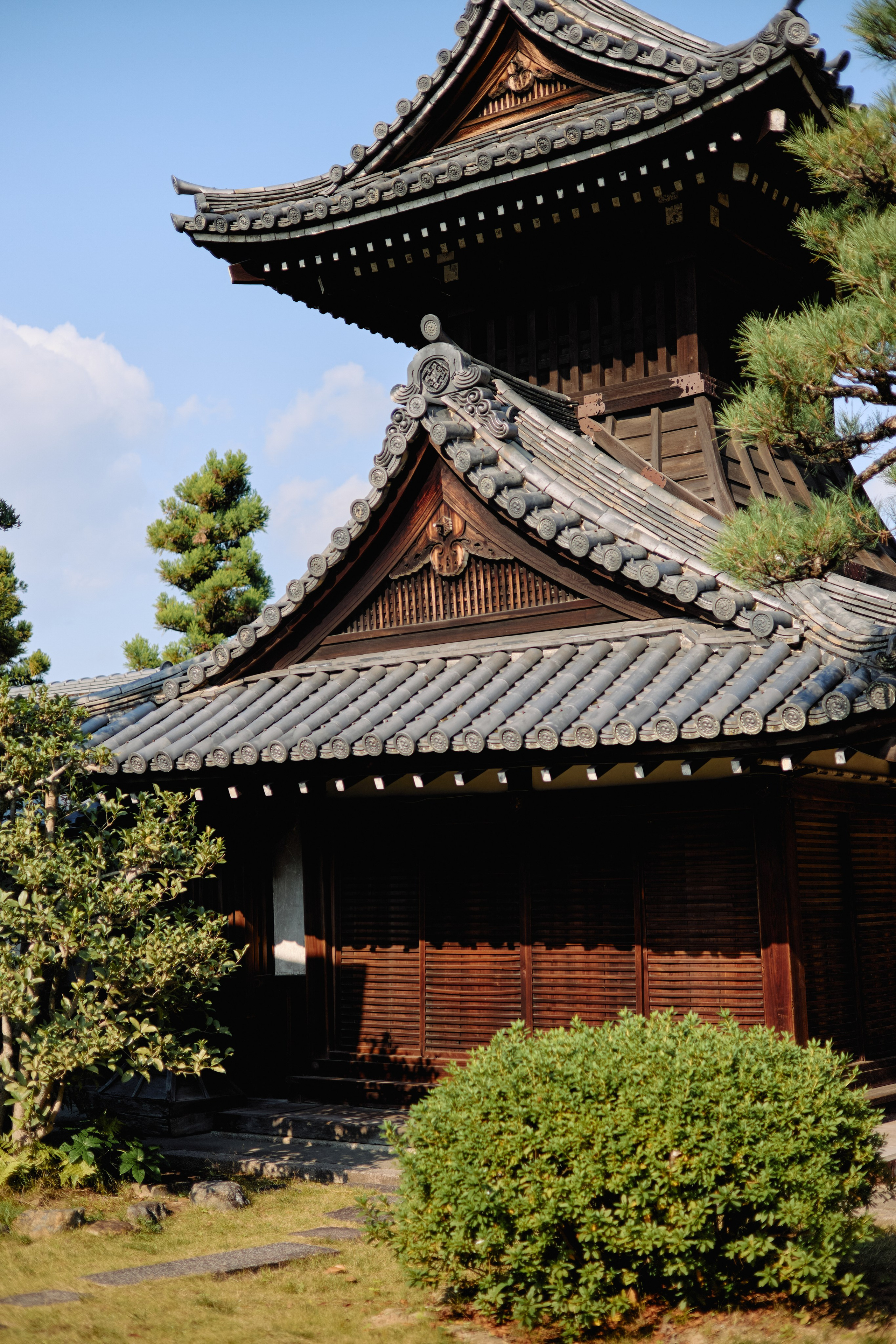 Япония. Профессиональный Фотограф во Владимире, в Москве и в Суздале — Полина Романычева