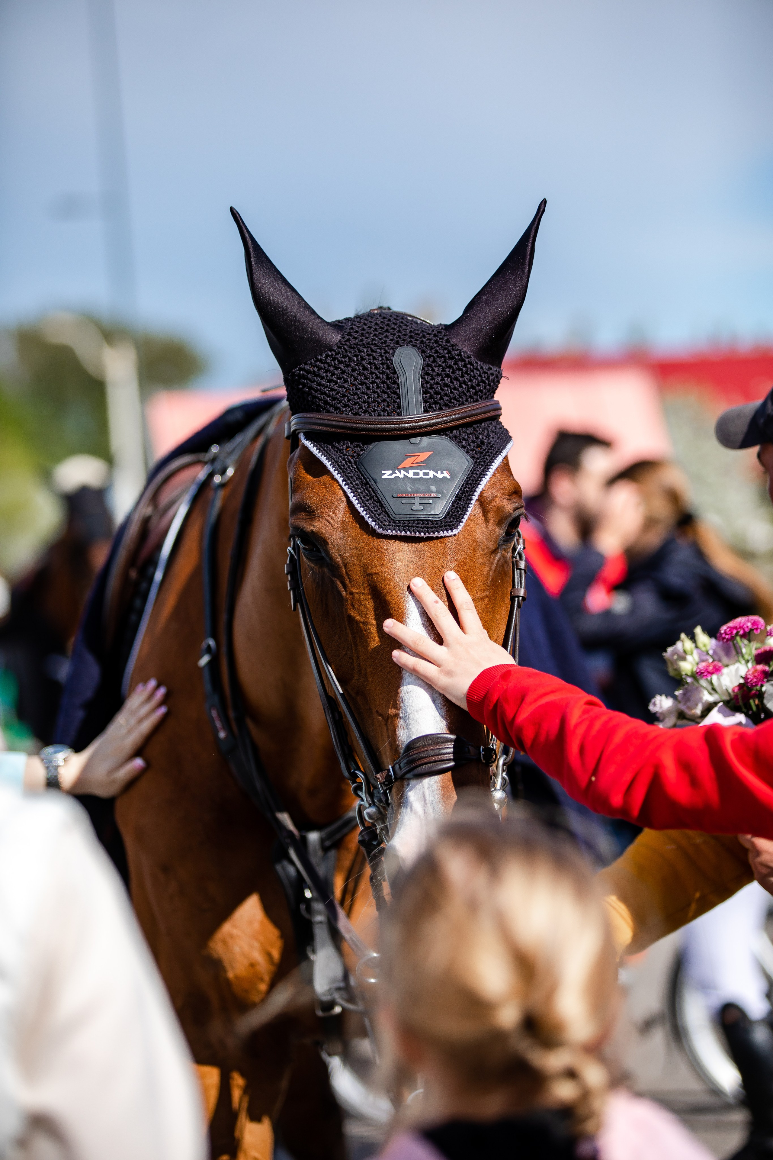 Турниры. Veronika Makeeva horse photo
