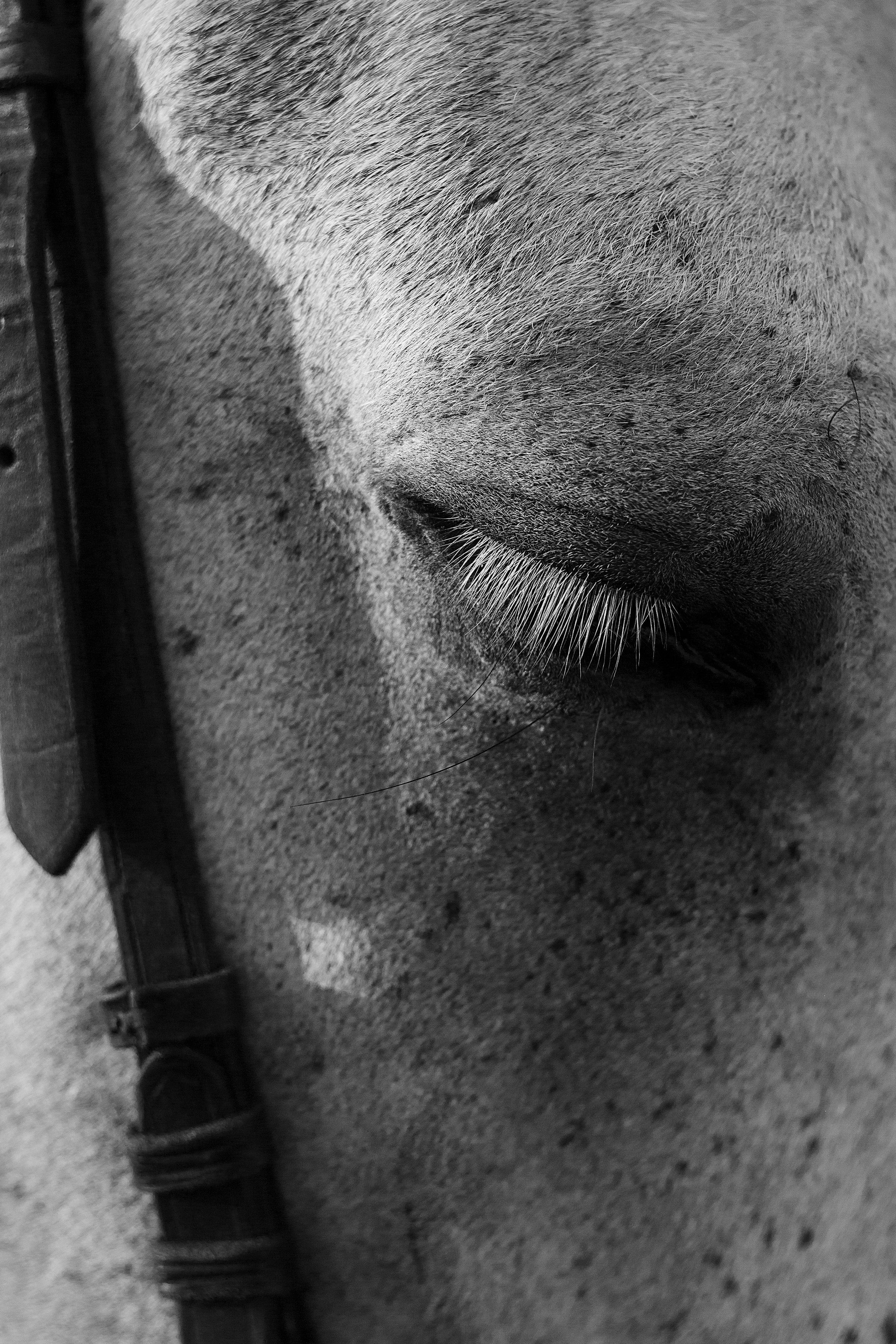 Портретный фотограф Вера Приймак | Санкт-Петербург и Москва