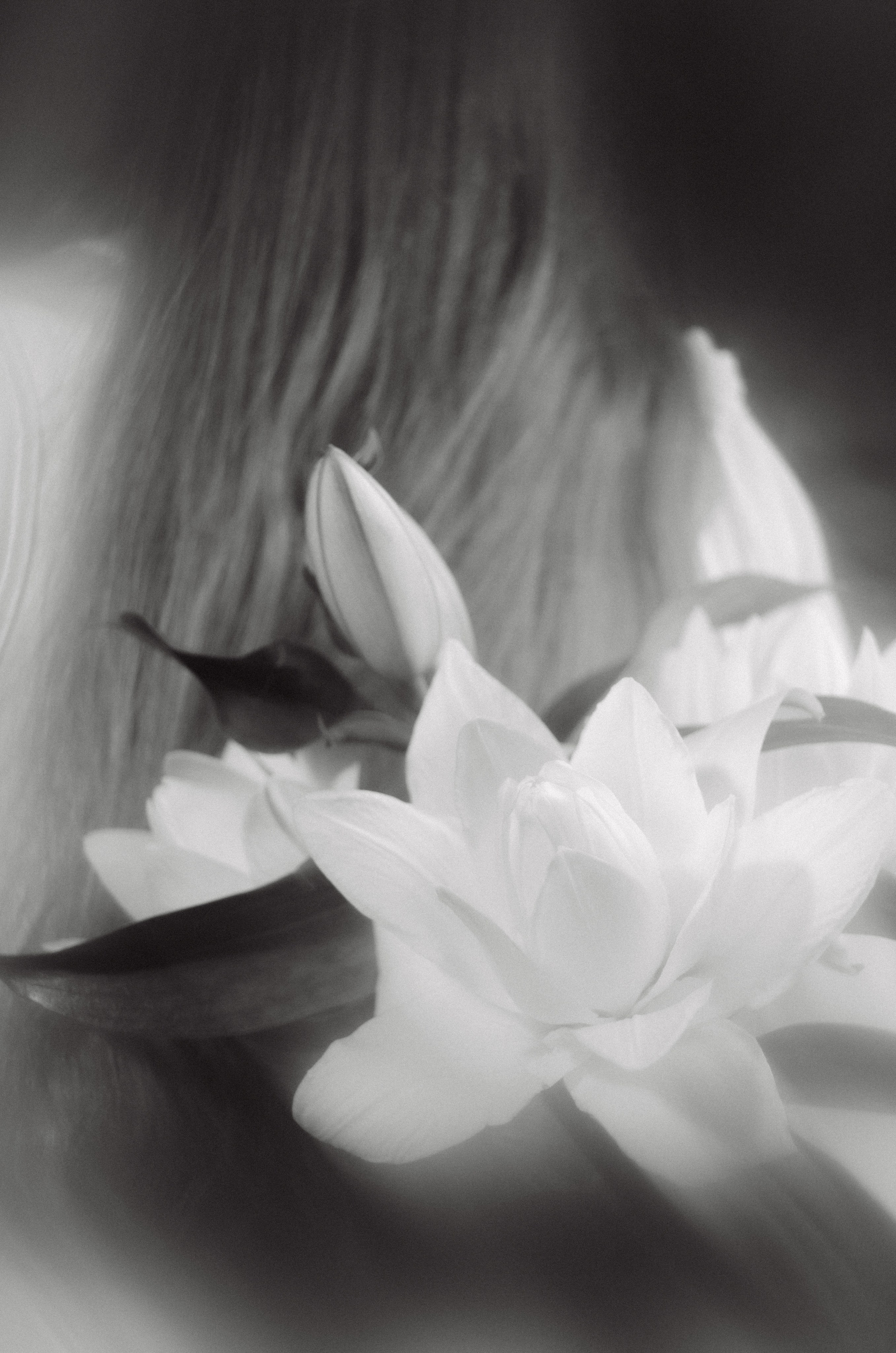 Дарья. Фотограф Валерия Пэун