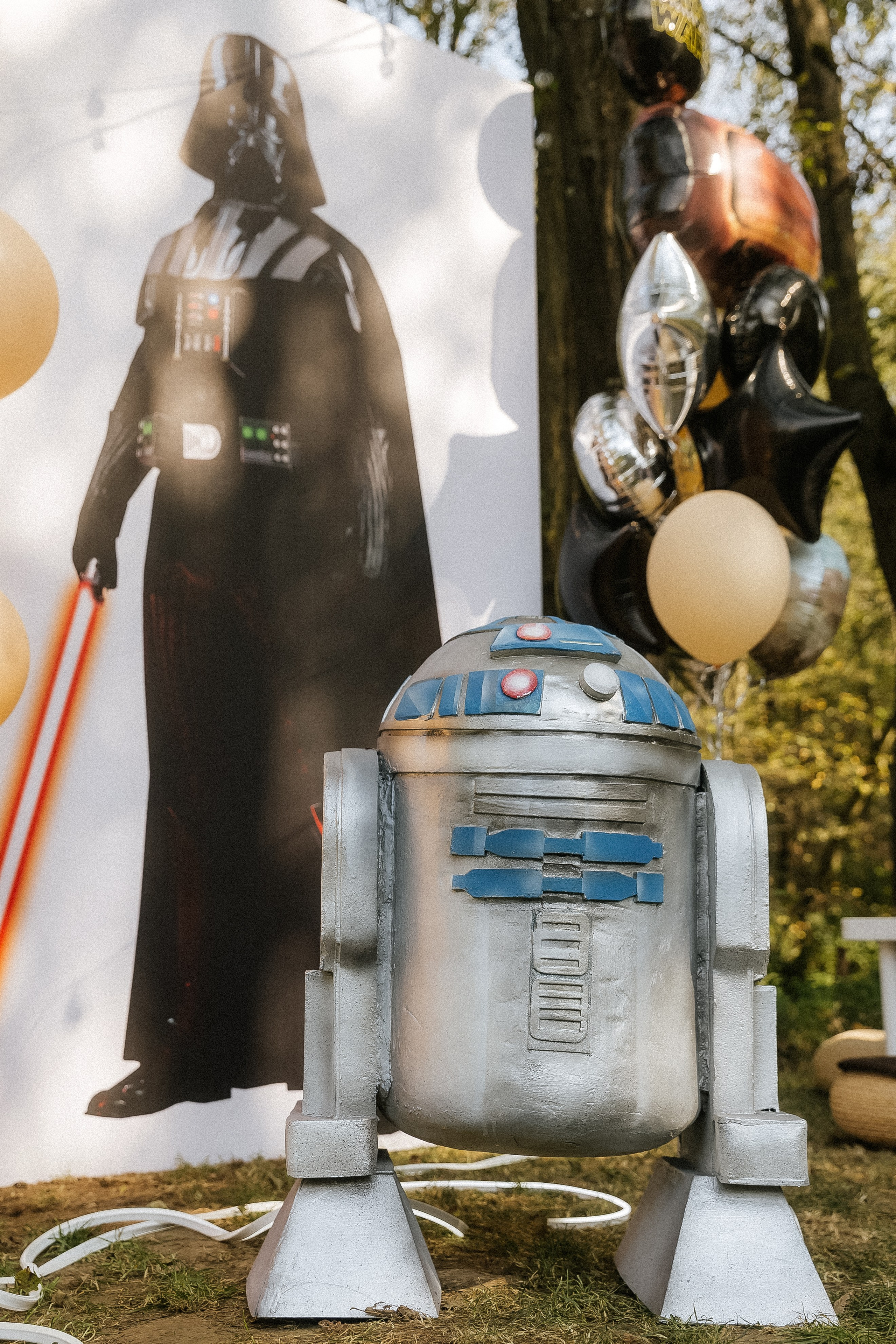 SEROVSKI Родион. Свадебный фотограф в Москве Николай Болт