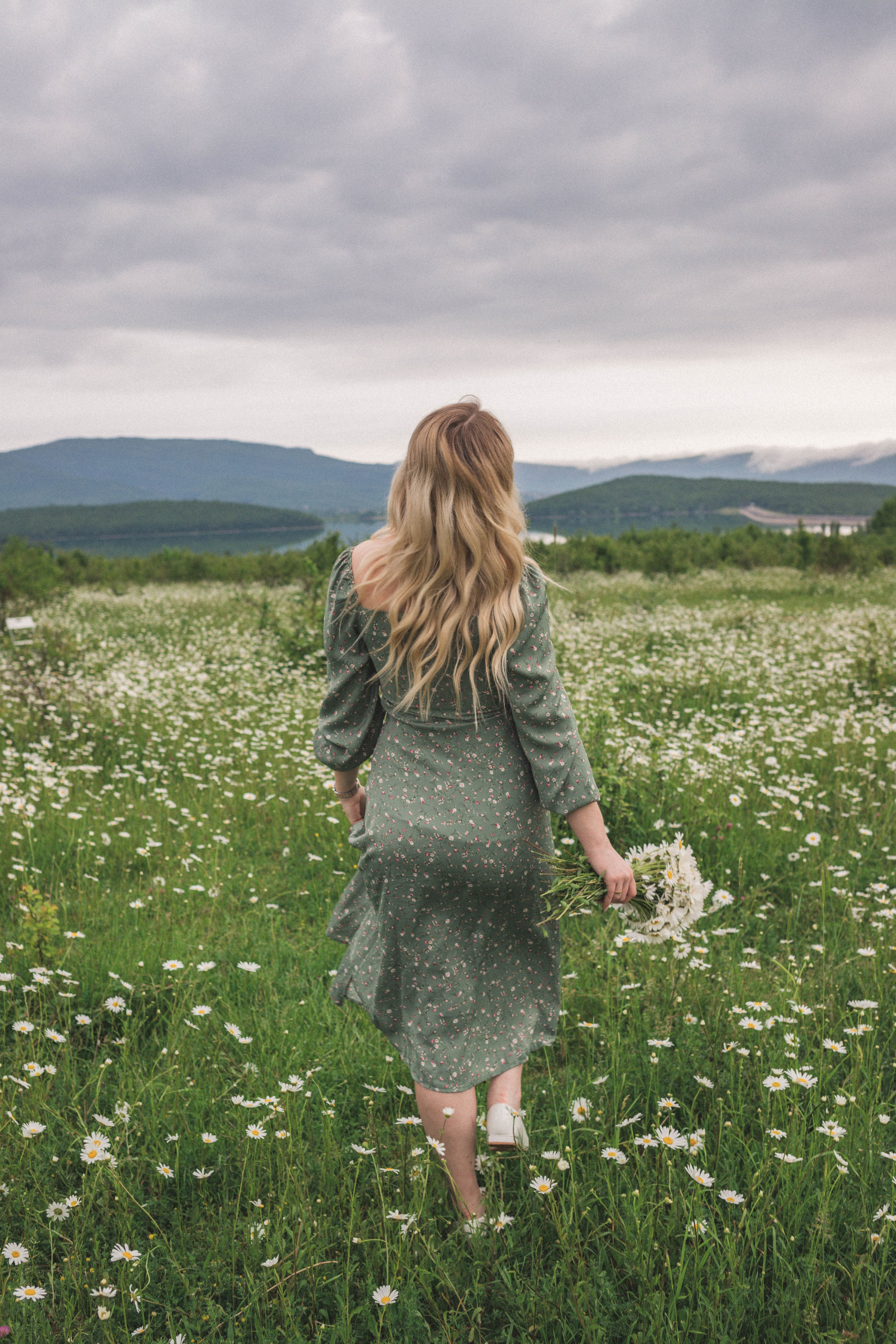 РОМАШКИ. Фотограф Немазенко Ольга