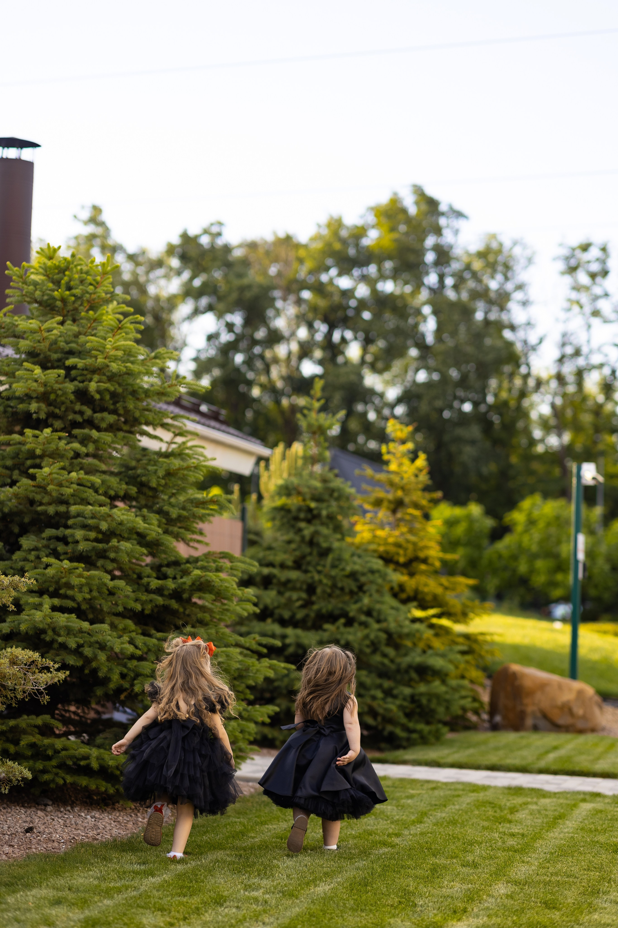 «I ROSE YOU» Нариман и София. Свадебный фотограф и видеограф