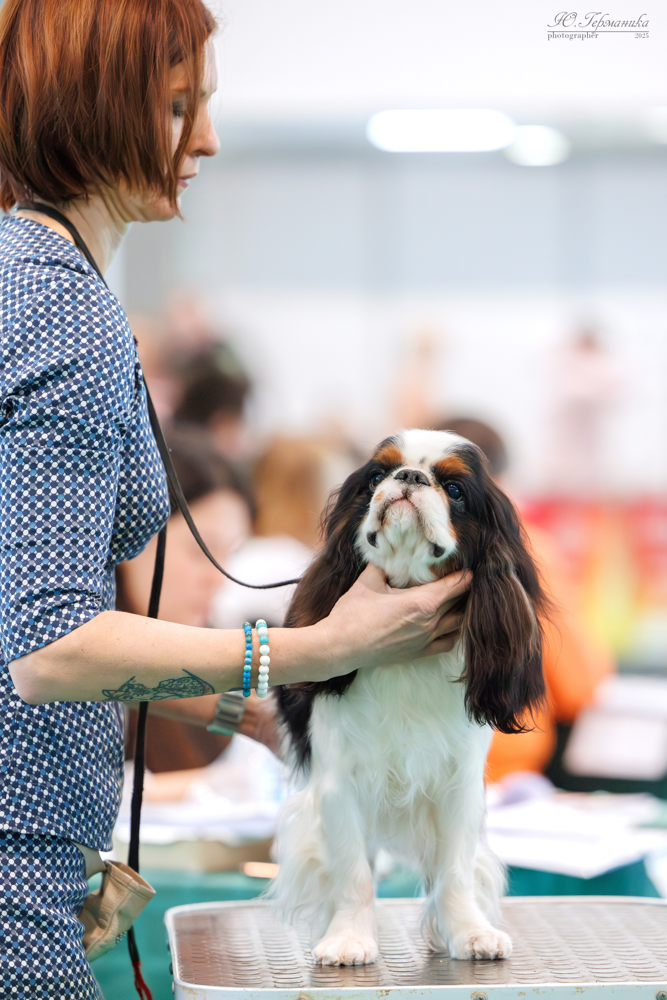 Минск 1-2.03.2025. Фотограф-анималист Юлия Германика