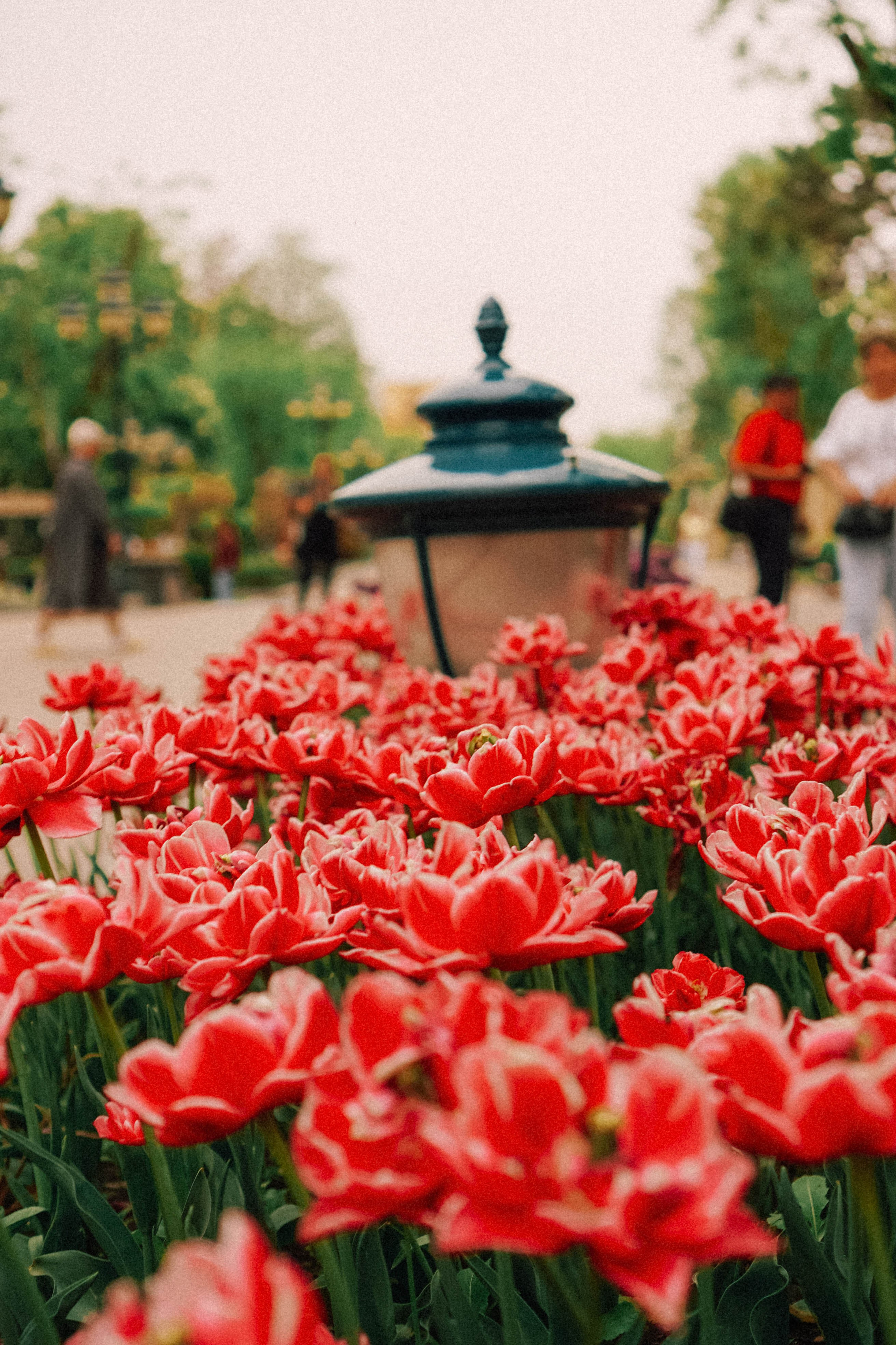 КИСЛОВОДСК. Профессиональный фотограф, Санкт-Петербург — Виктория Богомолова
