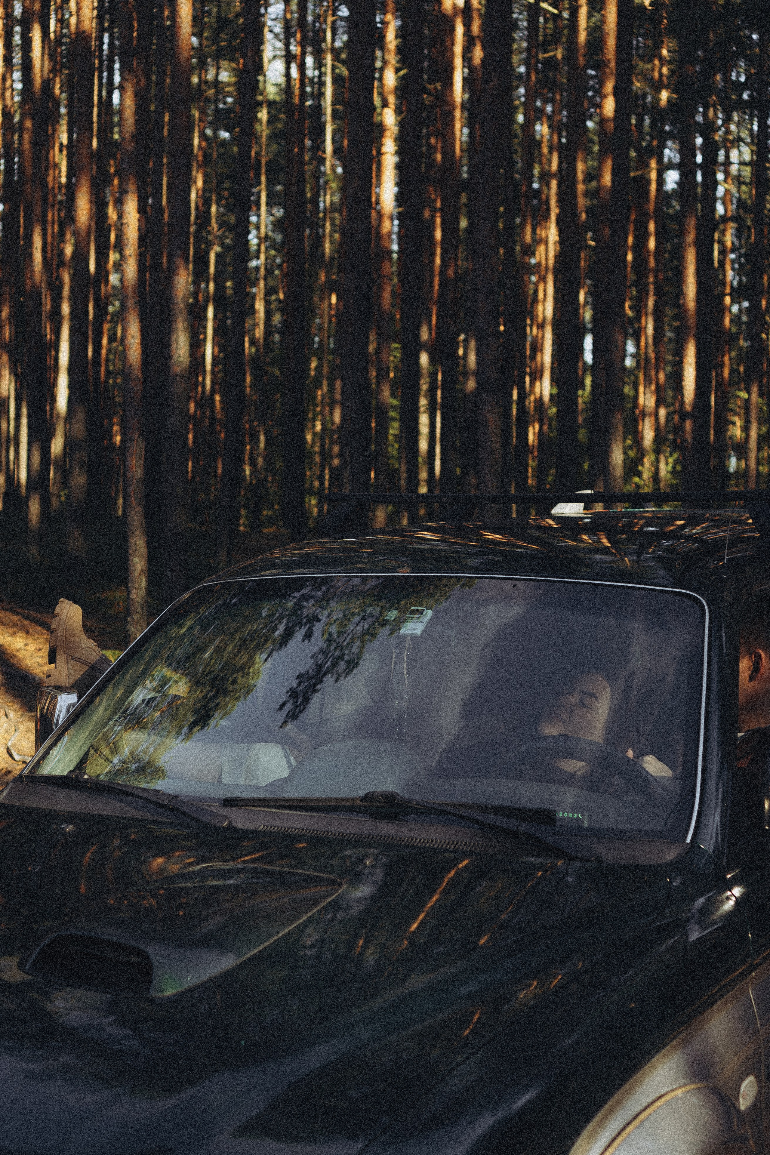 Прогулка по Финскому заливу. Профессиональный фотограф, Санкт-Петербург — Виктория Богомолова