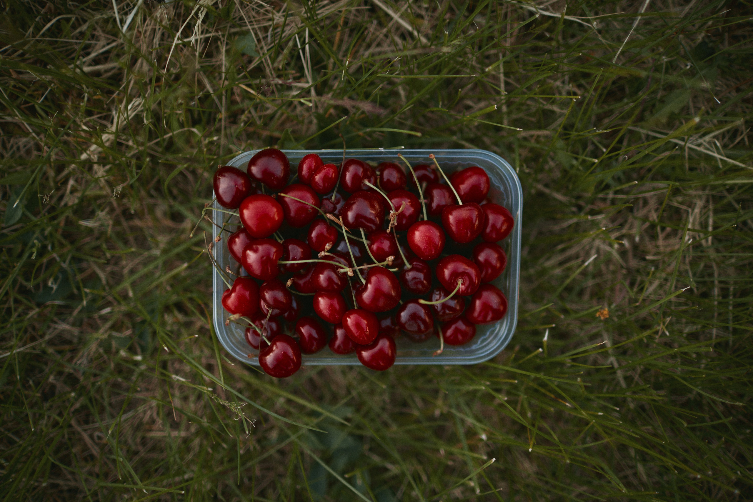 Индивидуальная фотосессия. Фотограф и видеограф в Кургане Леонид Корнильев