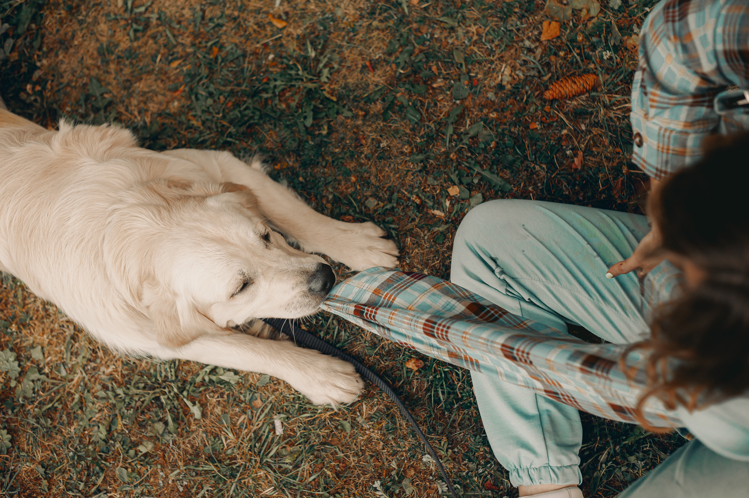 Степан&Наталья фотопрогулка с Шкипером