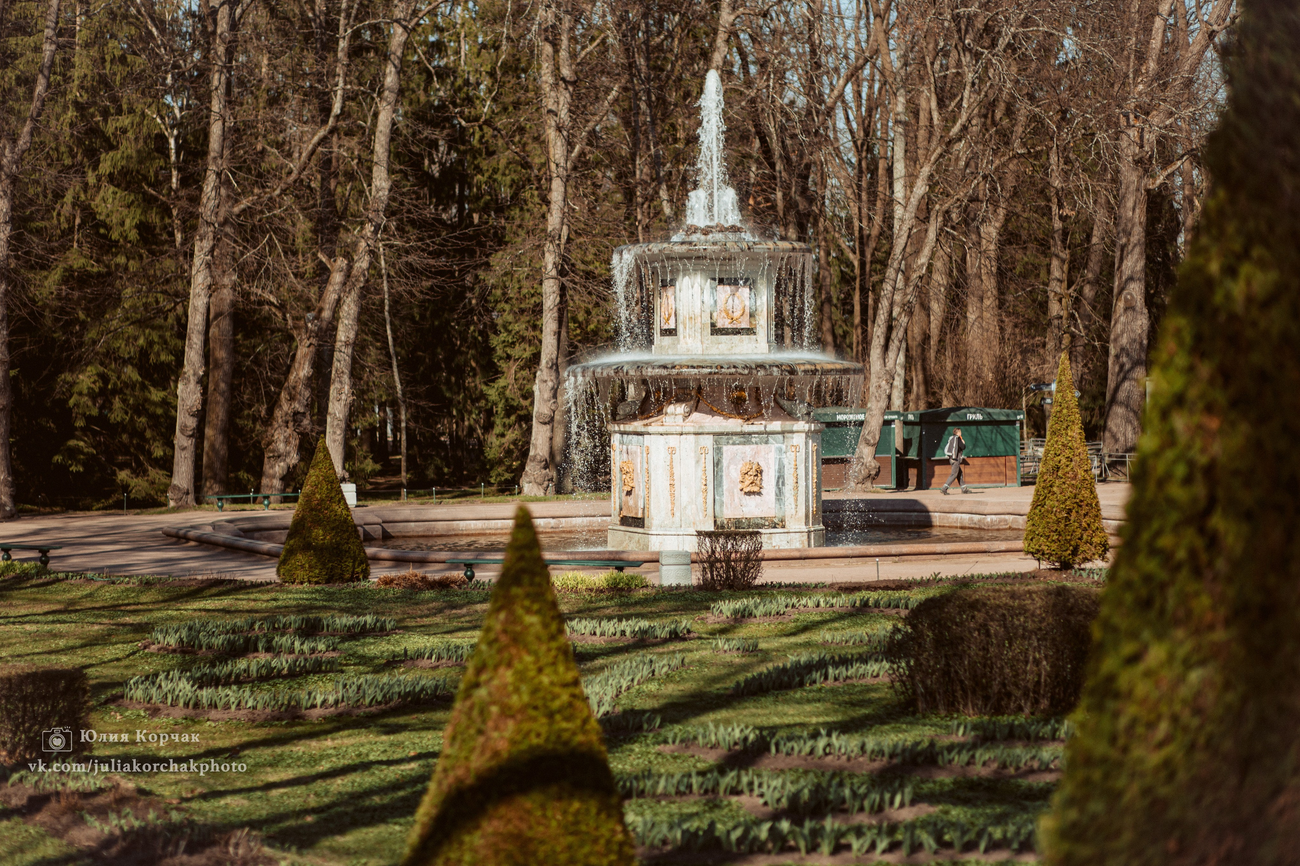 Петергоф нижний парк фото