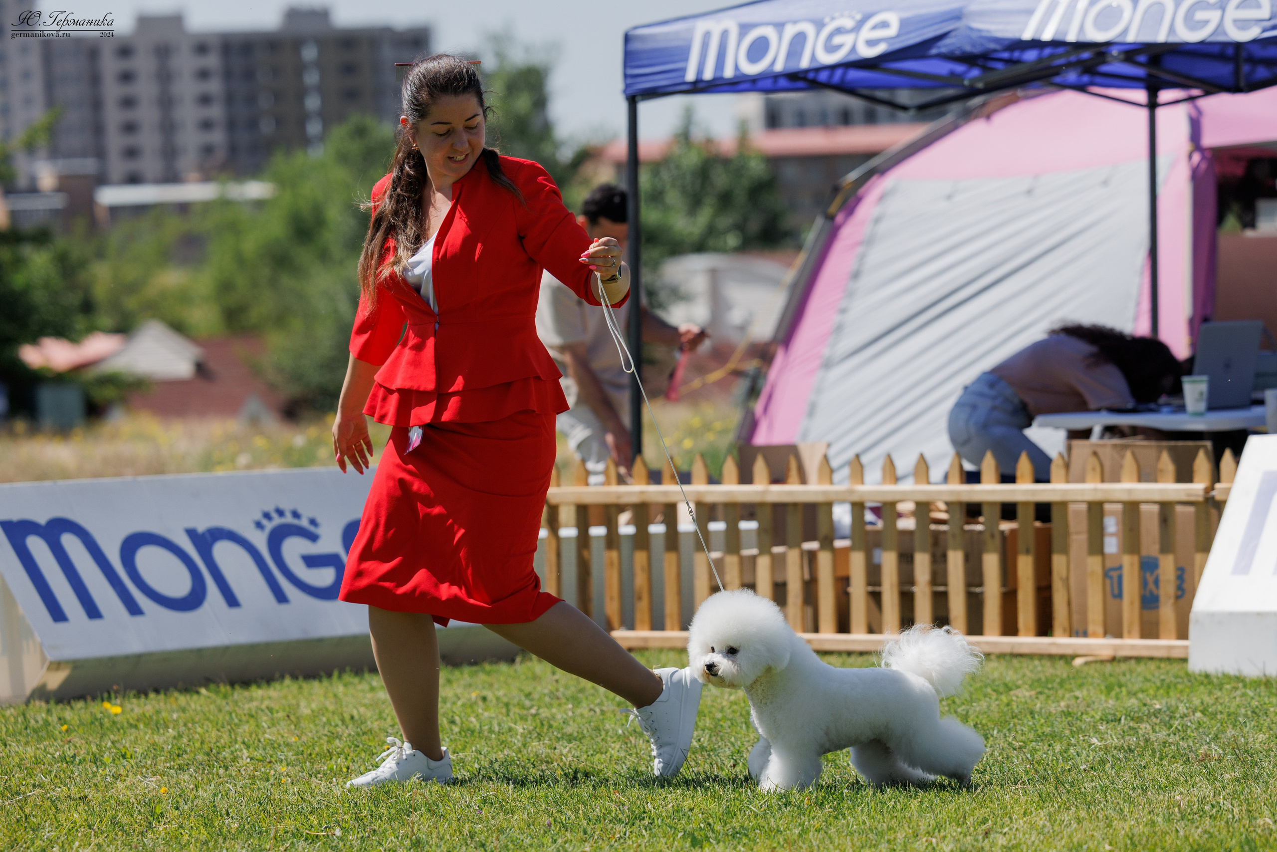 Ереван 3-5.06.2024. Фотограф-анималист Юлия Германика