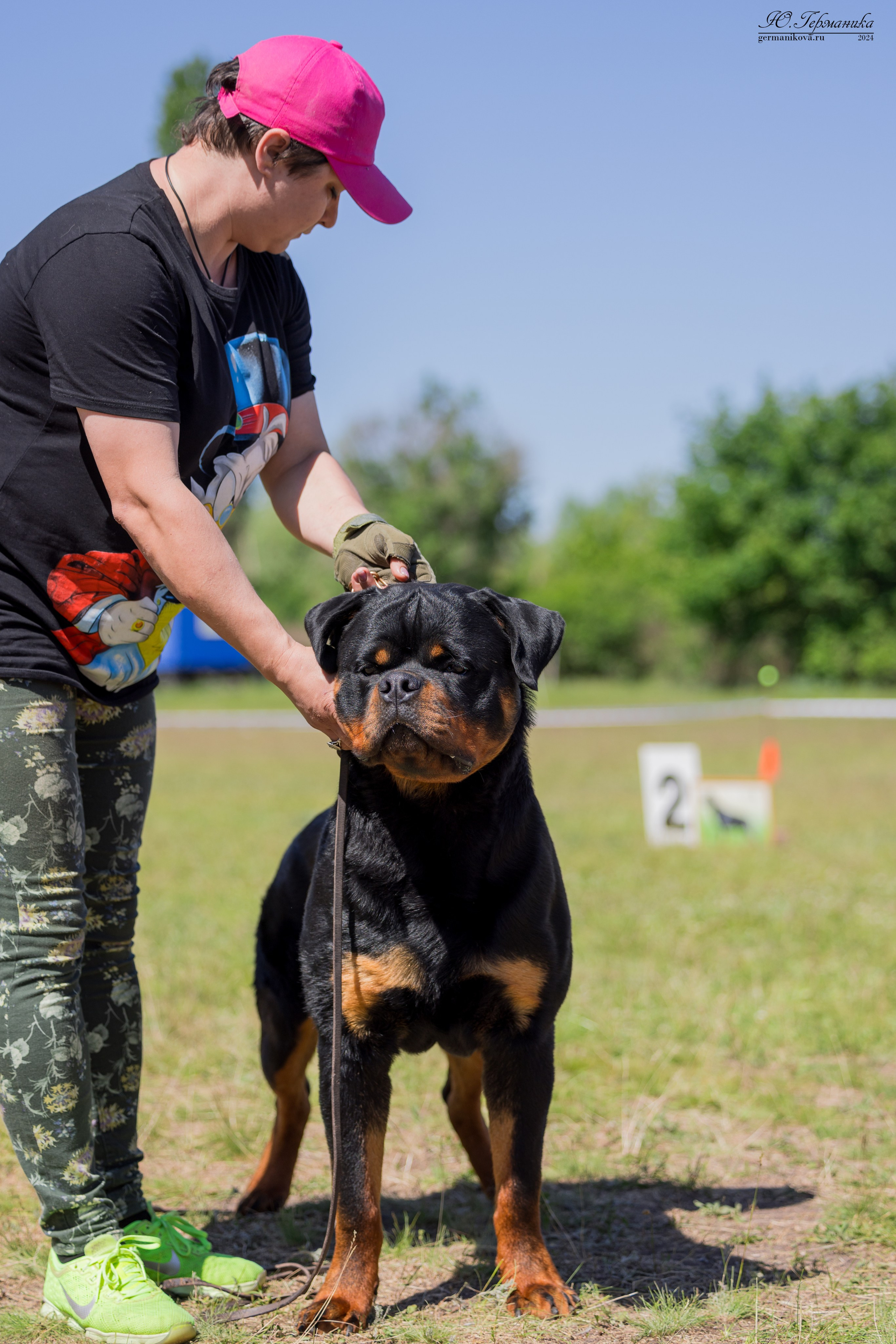 Воронеж моно ротвейлеров 25-26.05.2024. Фотограф-анималист Юлия Германика