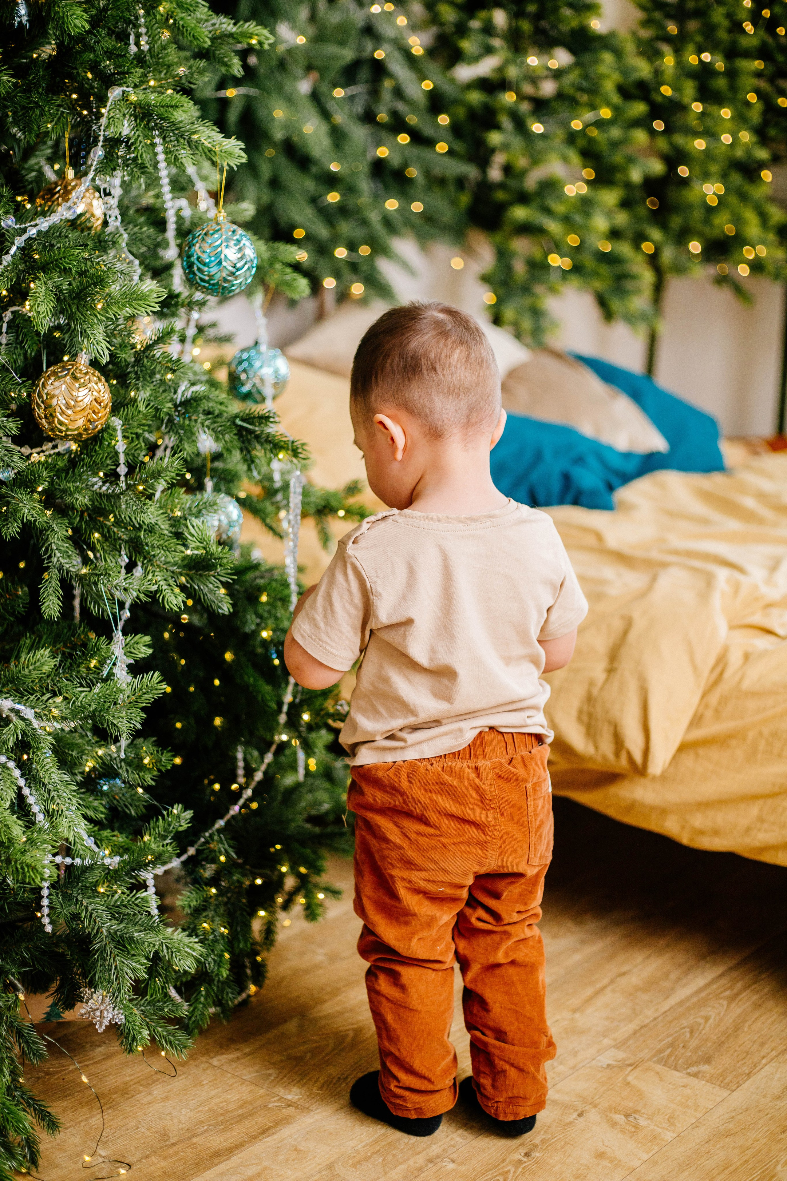 Лев с семьей. Рыжова Тамара