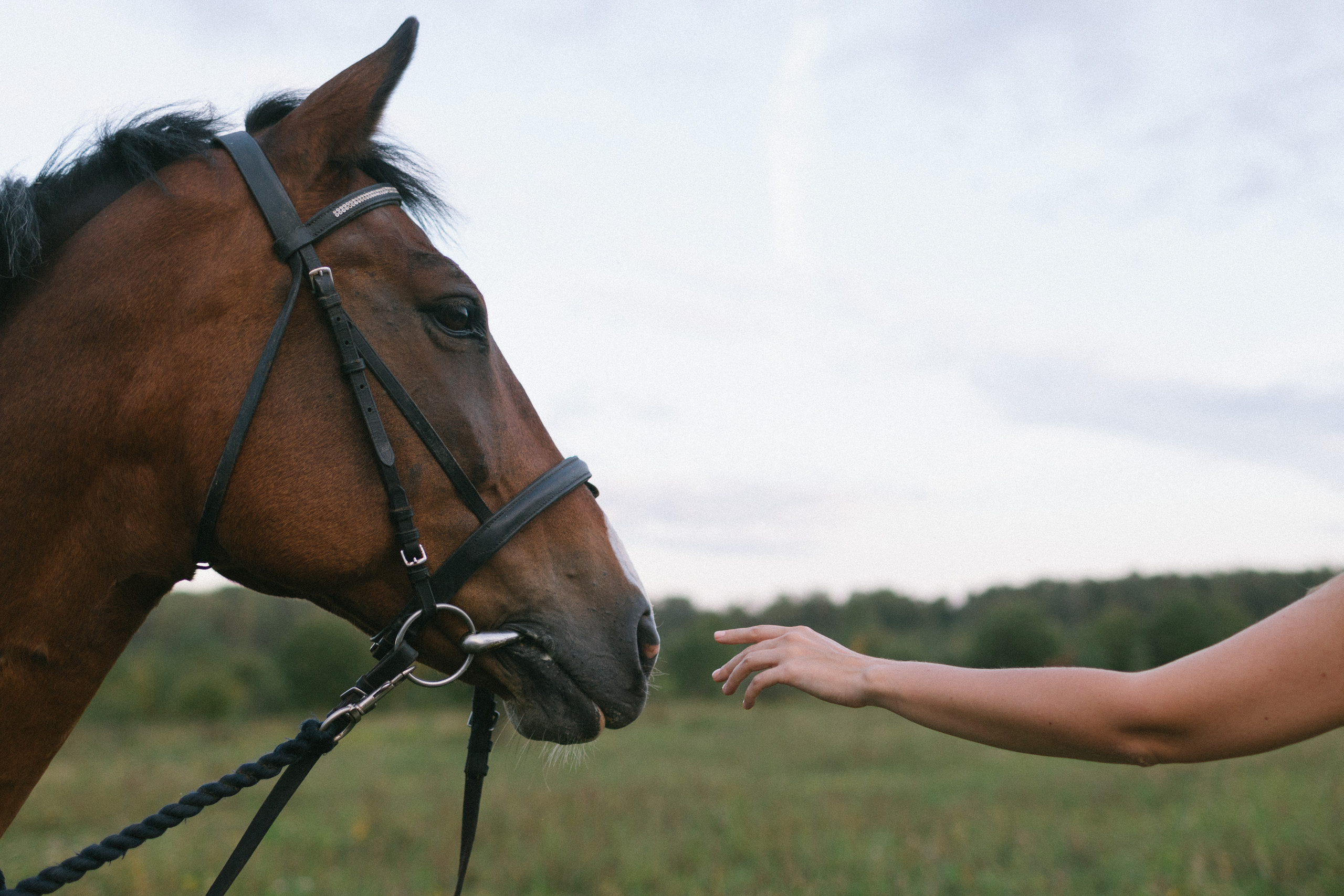 Ксения. Свадебный фотограф Москва Татьяна Кундельчук