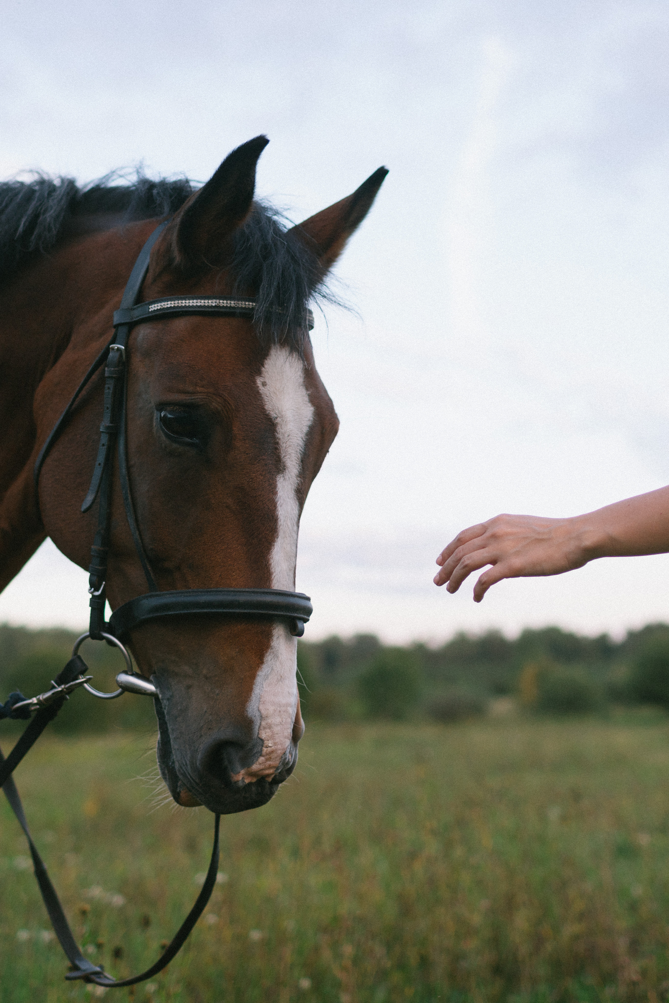 Ксения. Свадебный фотограф Москва Татьяна Кундельчук
