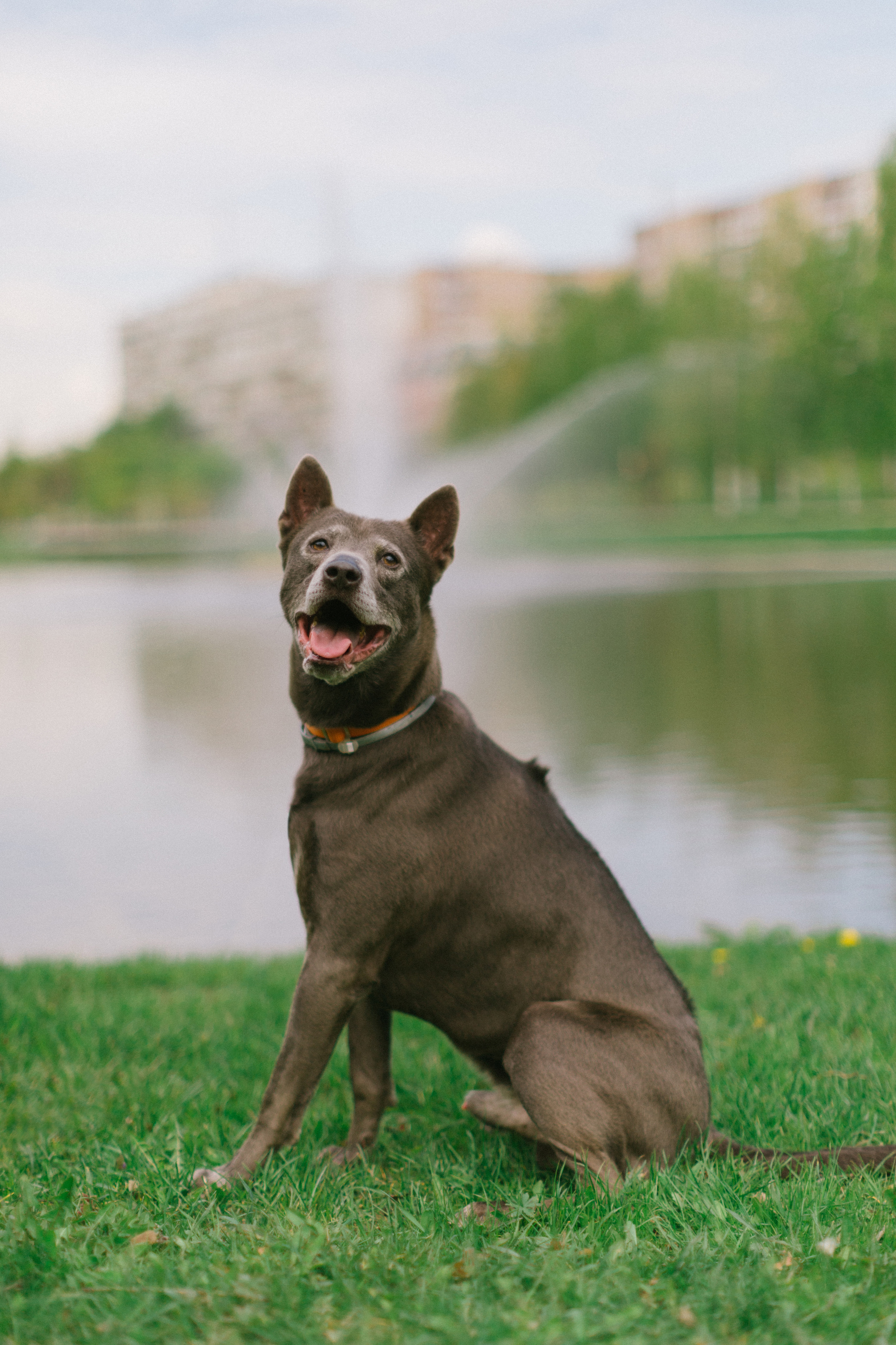 Любовь и преданность. Свадебный фотограф Москва Татьяна Кундельчук