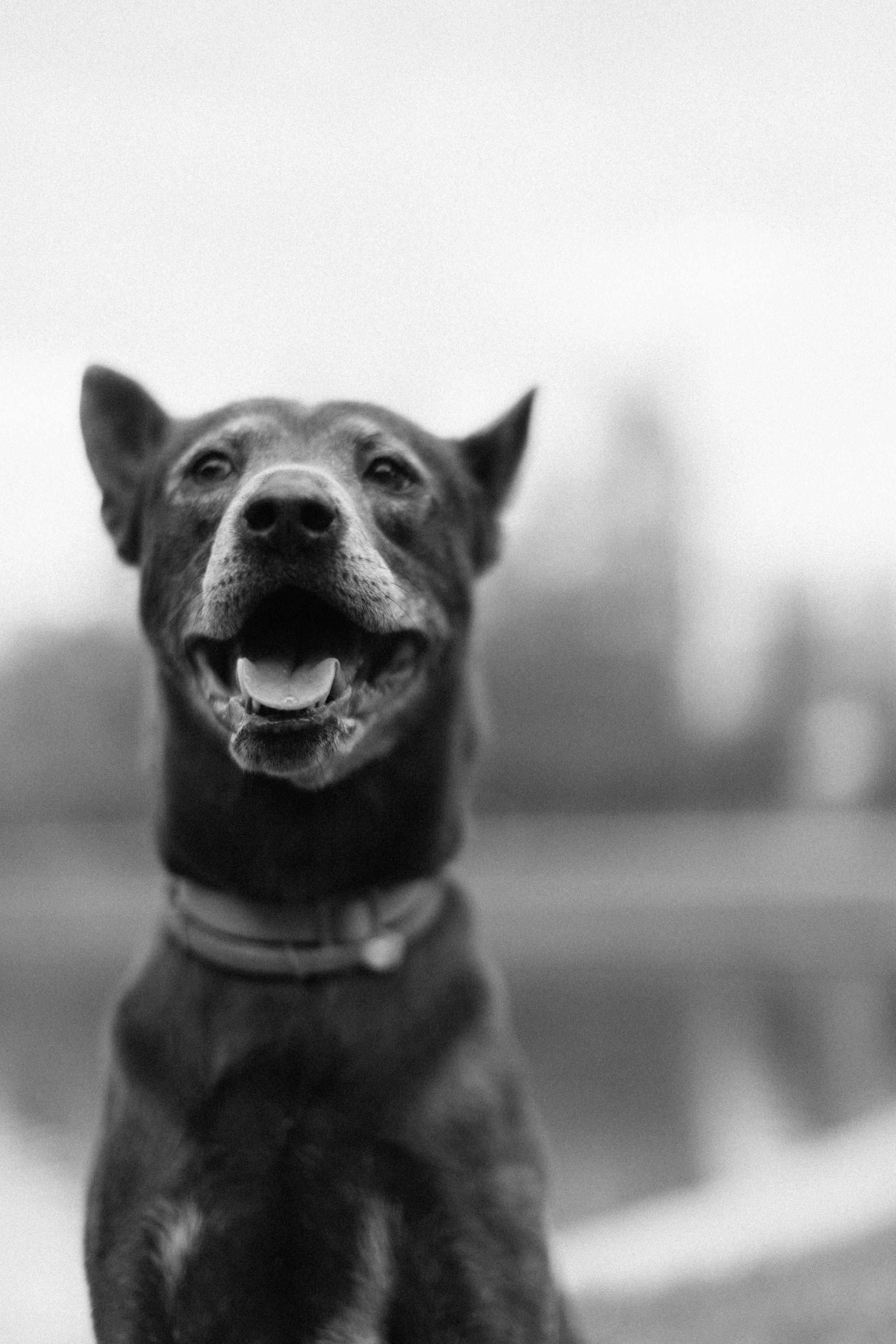 Любовь и преданность. Свадебный фотограф Москва Татьяна Кундельчук