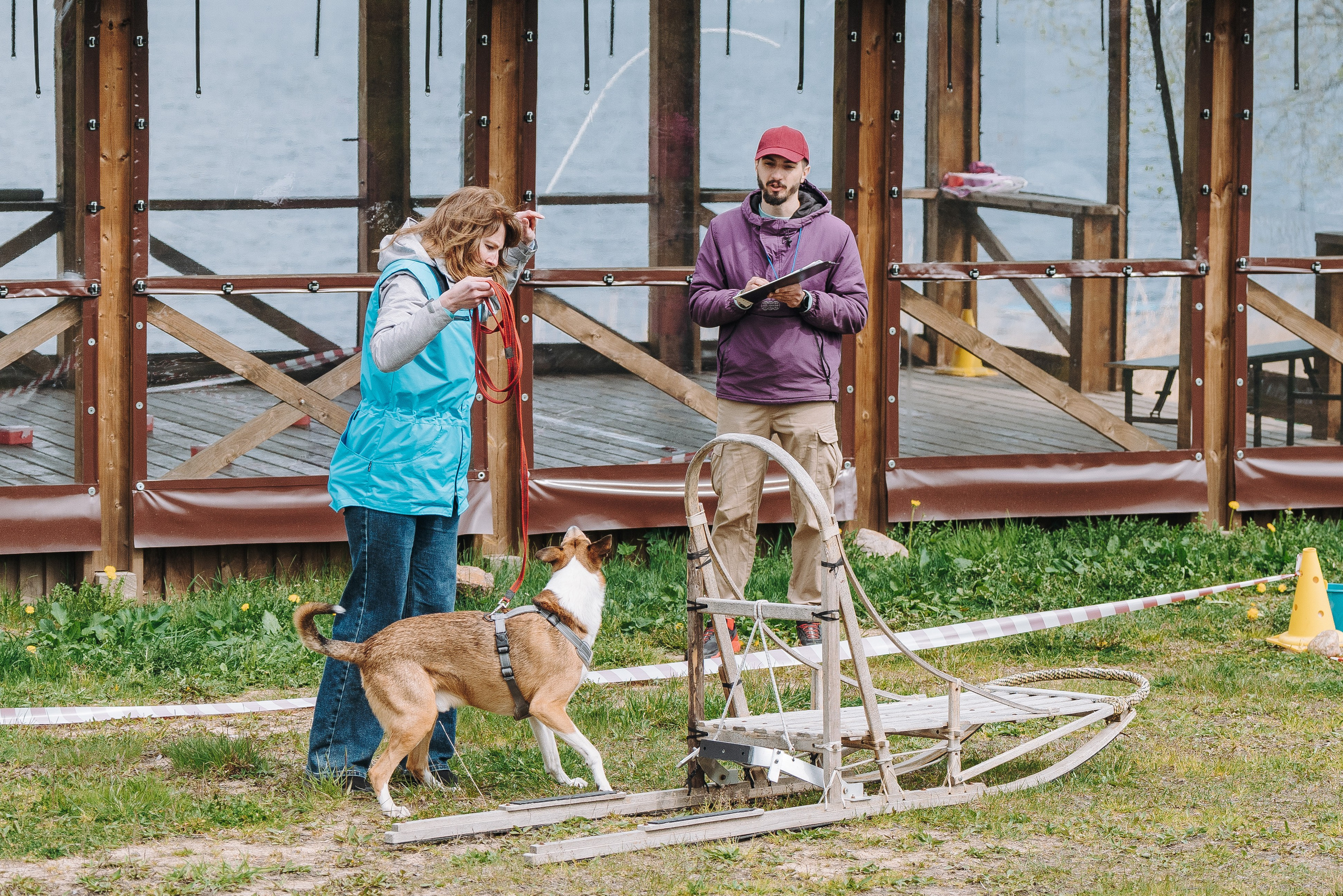 Соревнования по ноузворку в Лосево. Фотограф анималист в Спб недорого Олеся Майорова