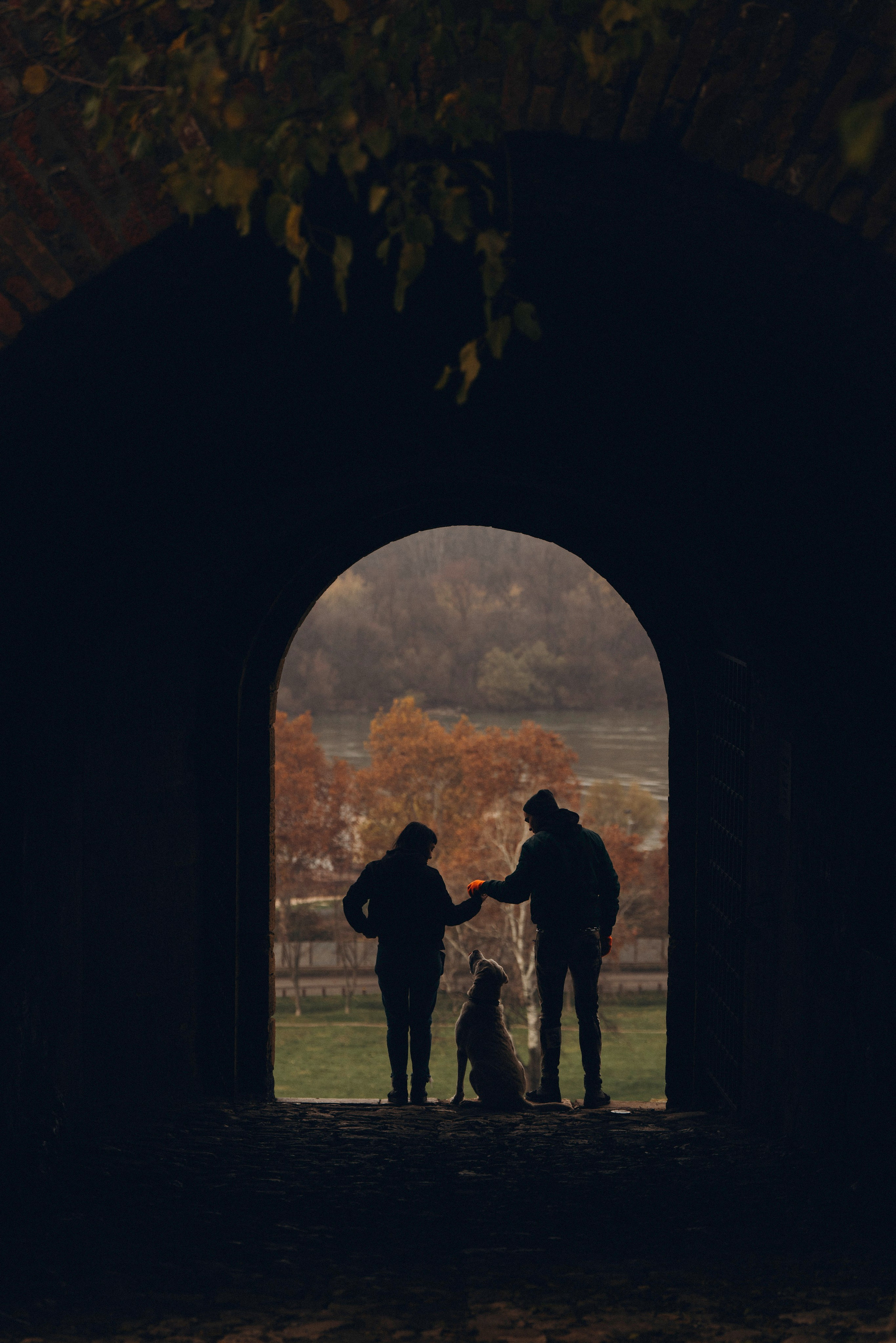 Вати, Лена и Леван. Фотограф анималист в Спб недорого Олеся Майорова