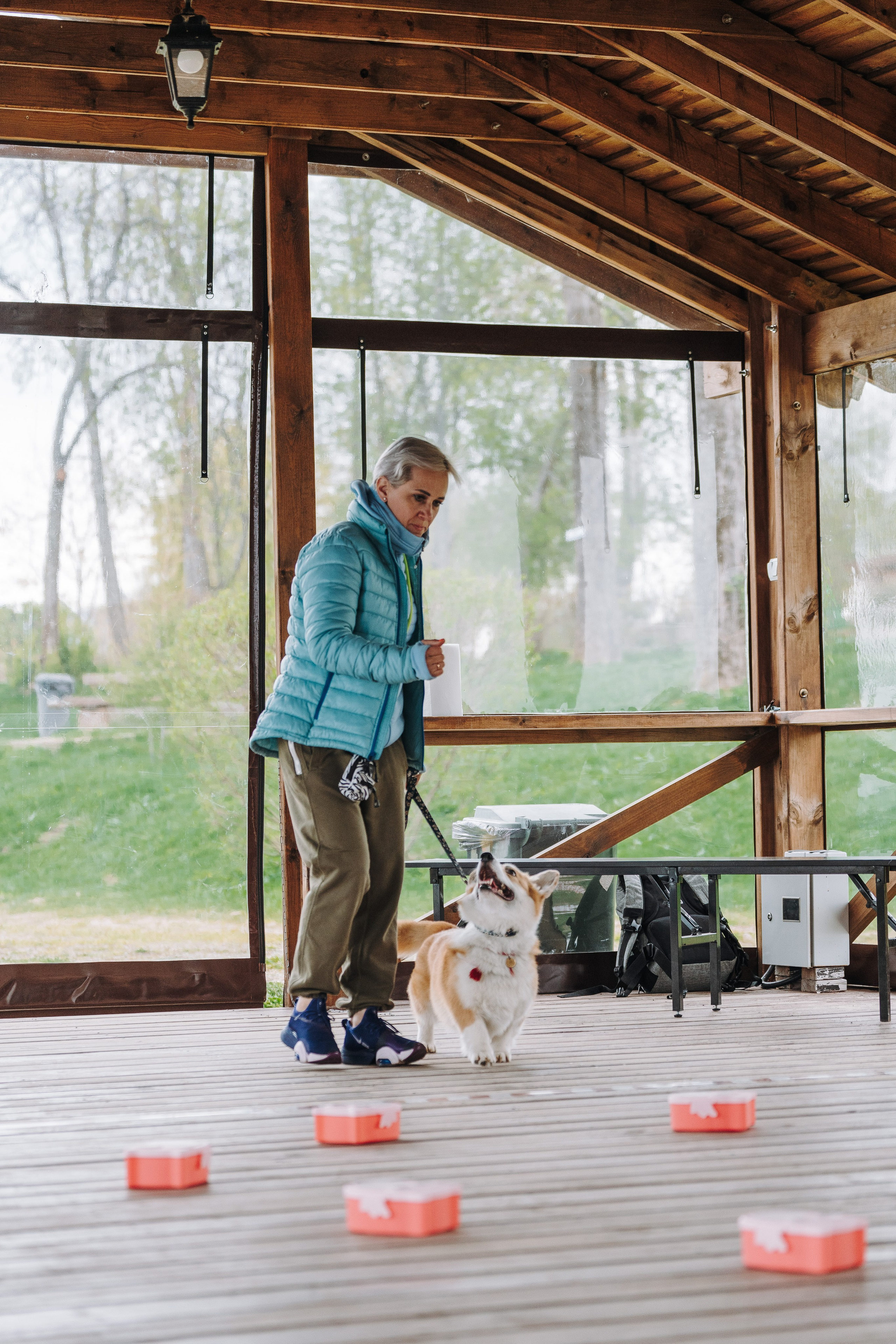 Соревнования по ноузворку в Лосево. Фотограф анималист в Спб недорого Олеся Майорова