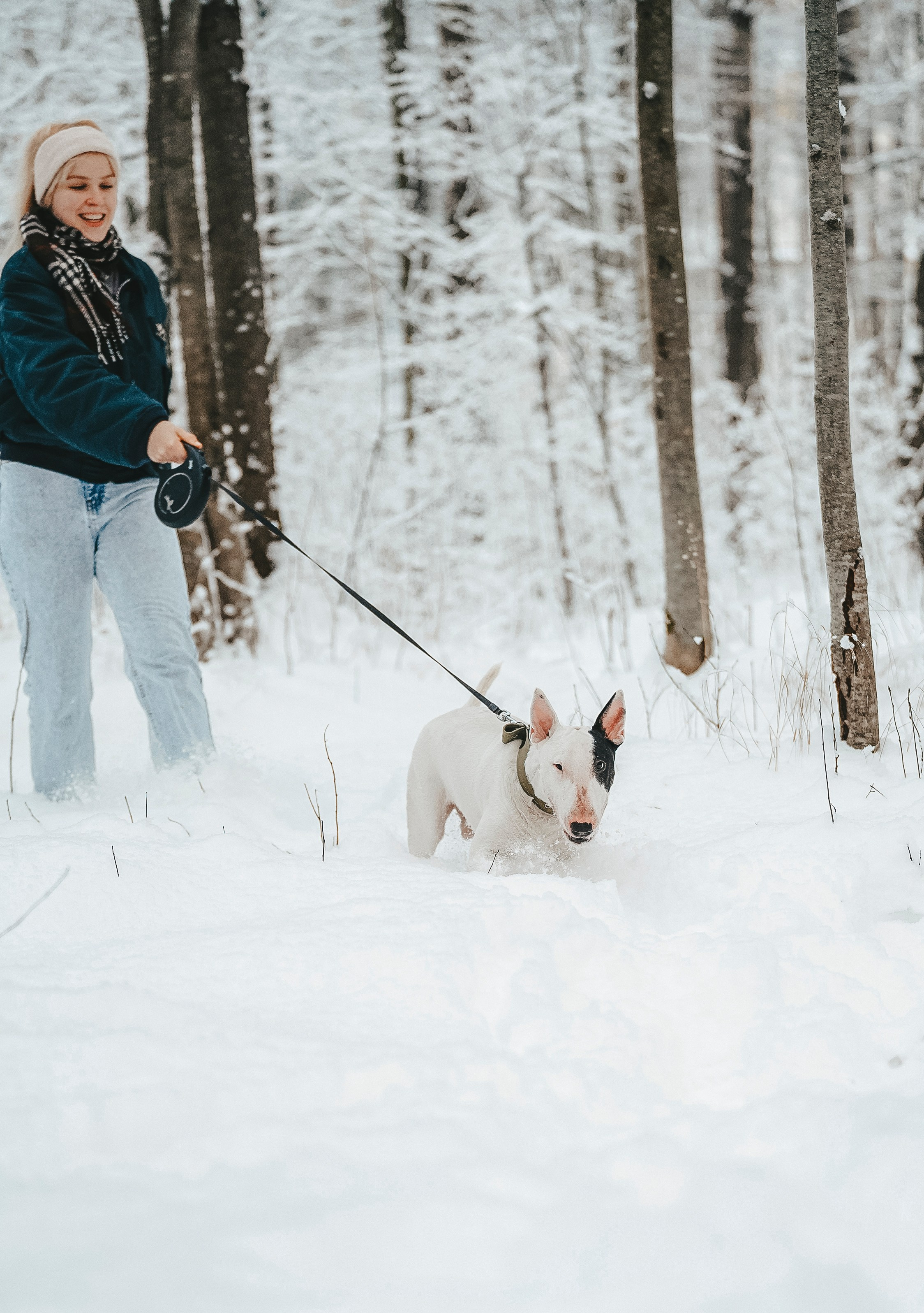 Портфолио собаки, фотограф Олеся Майрова. Фотограф анималист в Спб недорого Олеся Майорова