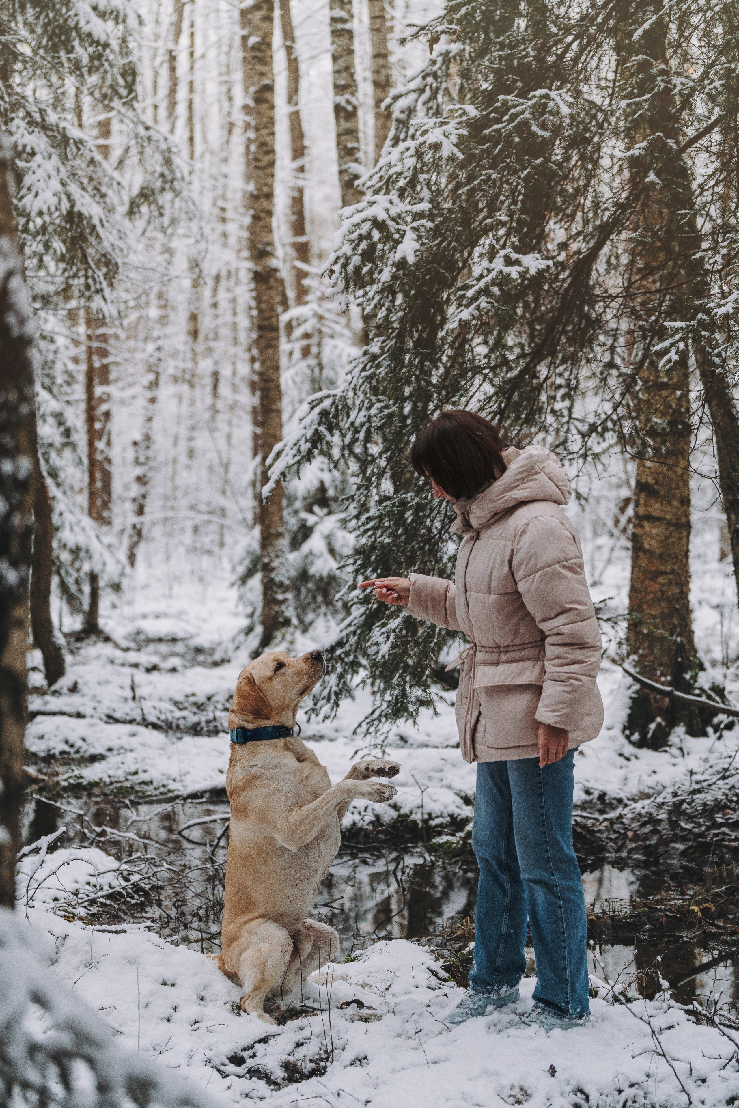 Аня и Честер. Фотограф анималист в Спб недорого Олеся Майорова