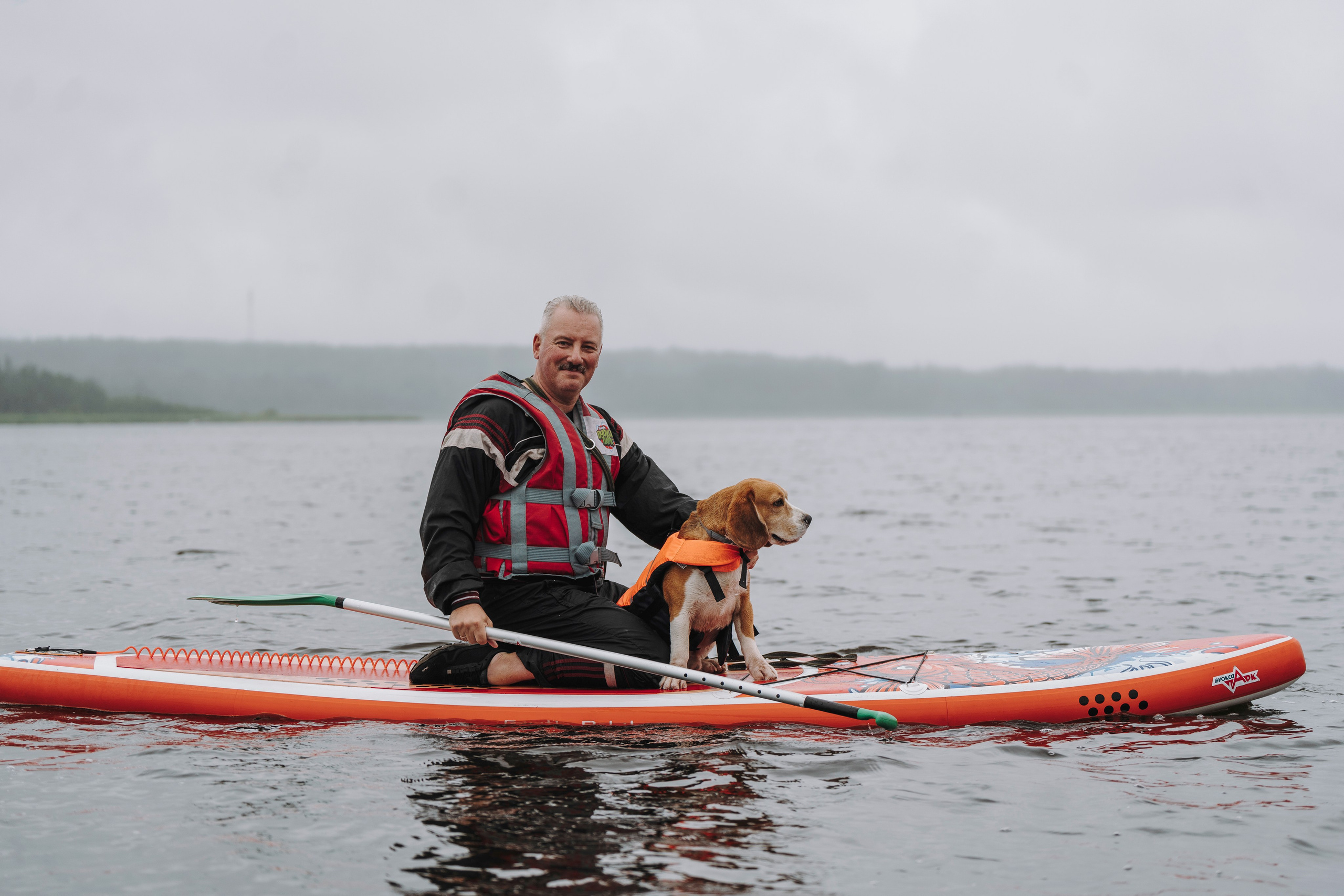 Катание на сапах с собаками. Фотограф анималист в Спб недорого Олеся Майорова