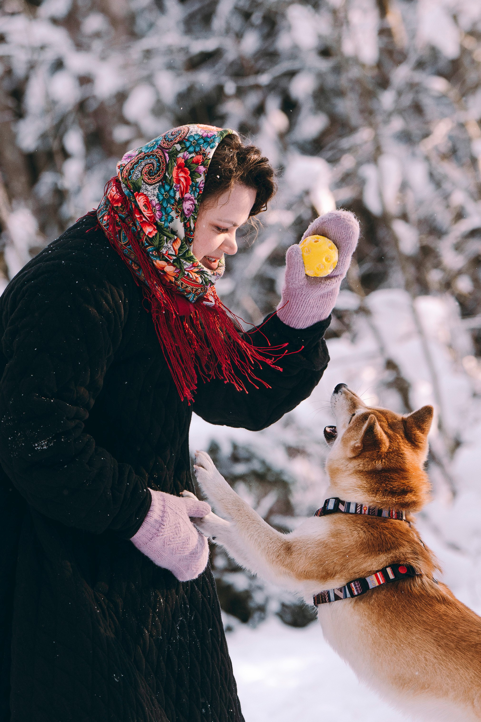 Каори, Анна и Антон. Фотограф анималист в Спб недорого Олеся Майорова