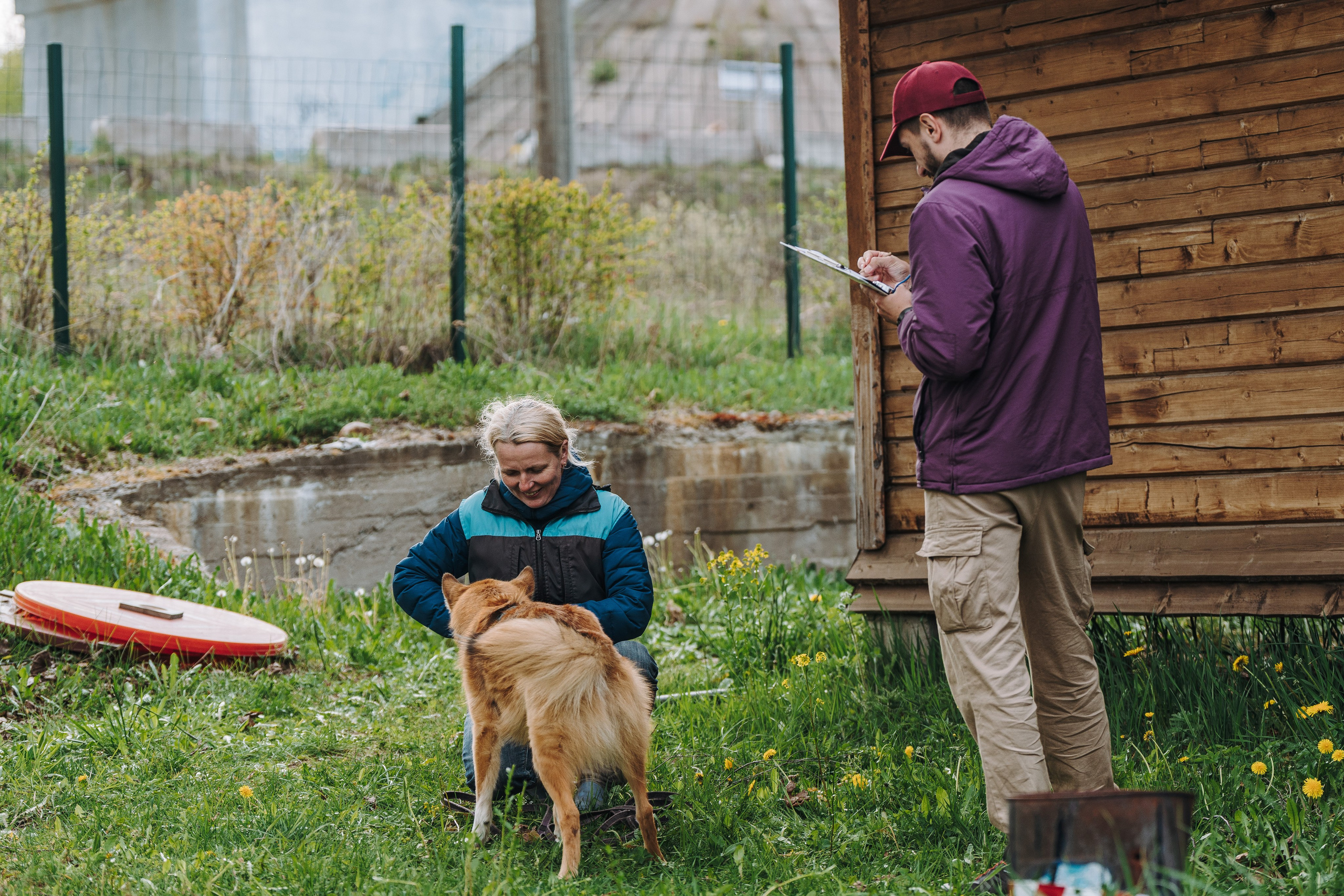 Соревнования по ноузворку в Лосево. Фотограф анималист в Спб недорого Олеся Майорова