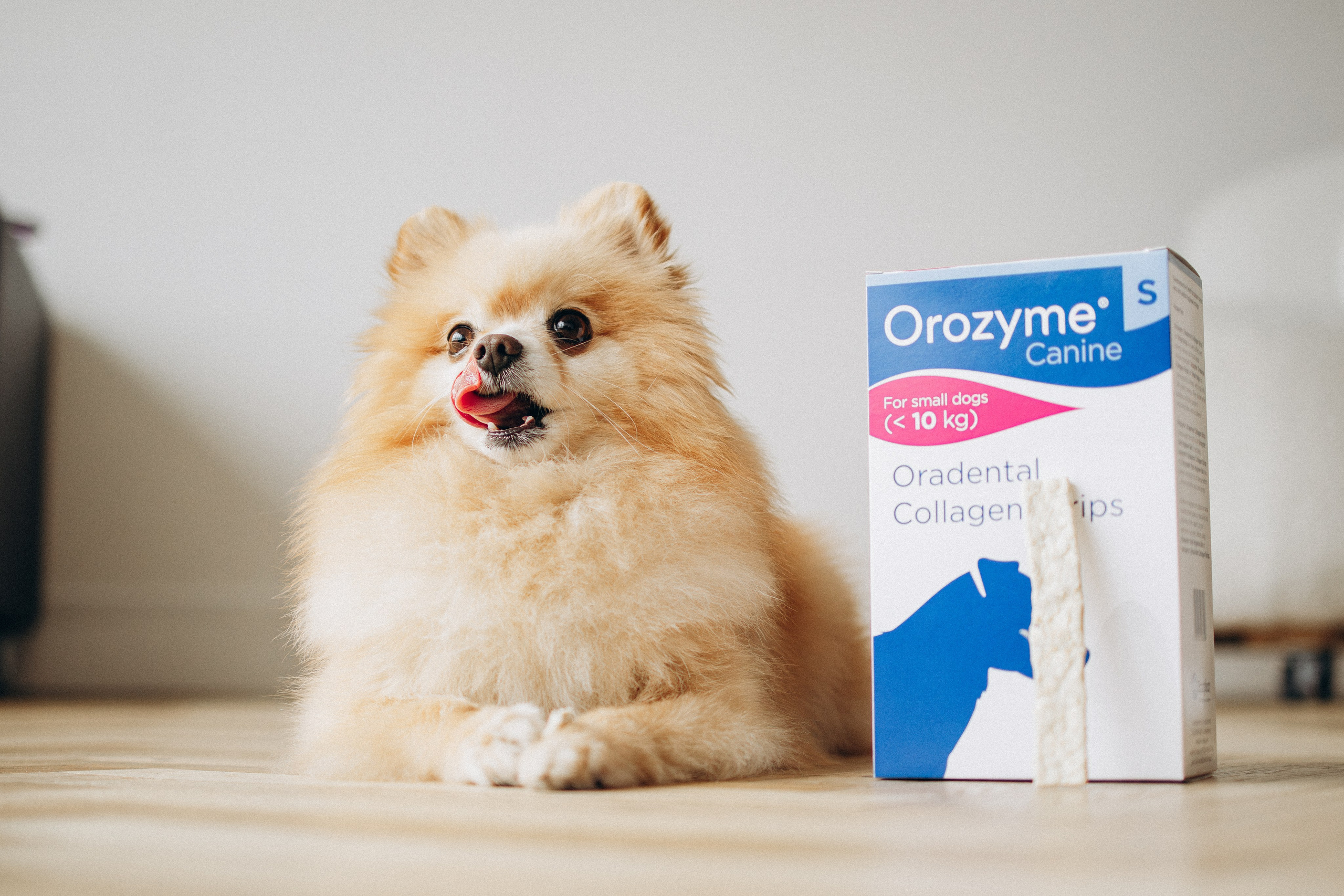 Orozyme&Emmiepet. Фотораф — анималист Мария Шистка