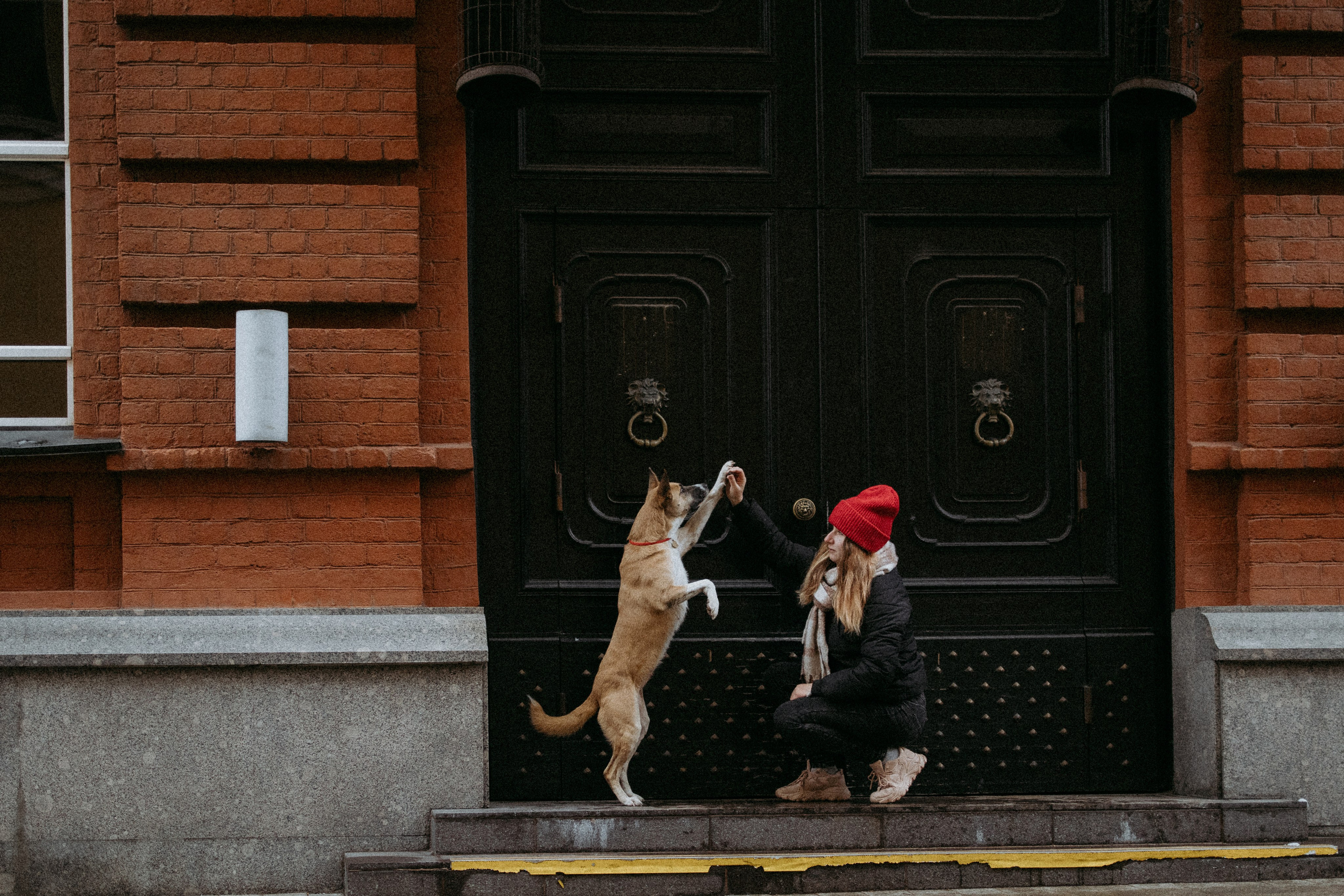 Саша, Ксюша и их банда. Фотораф — анималист Мария Шистка