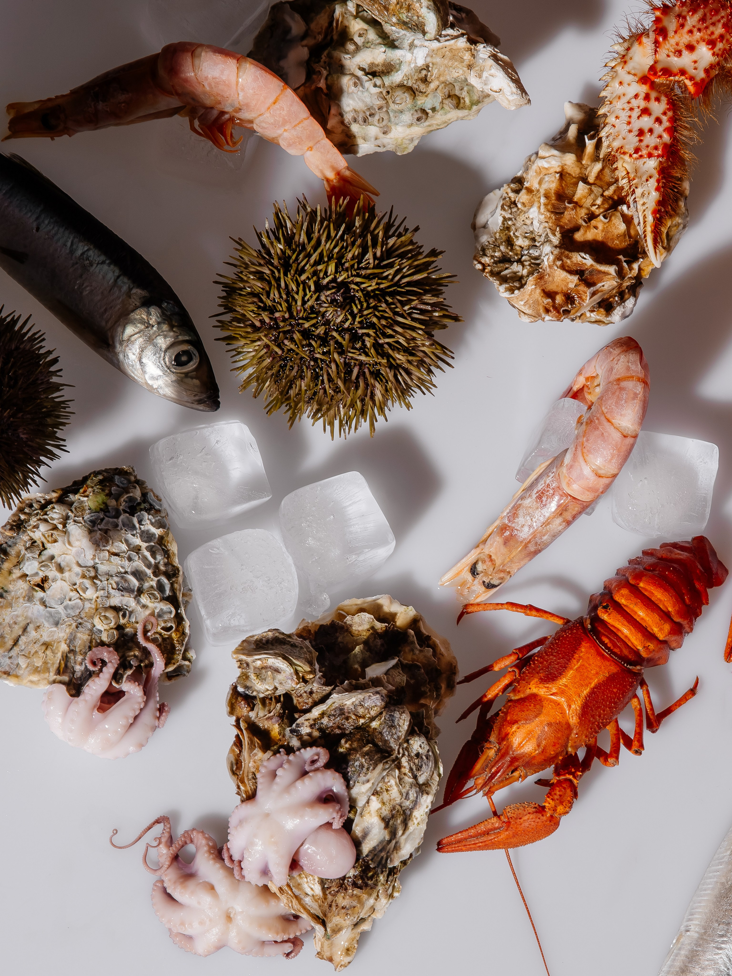 Splash.sea. Профессиональный фотограф Инесса Новикова в Москве