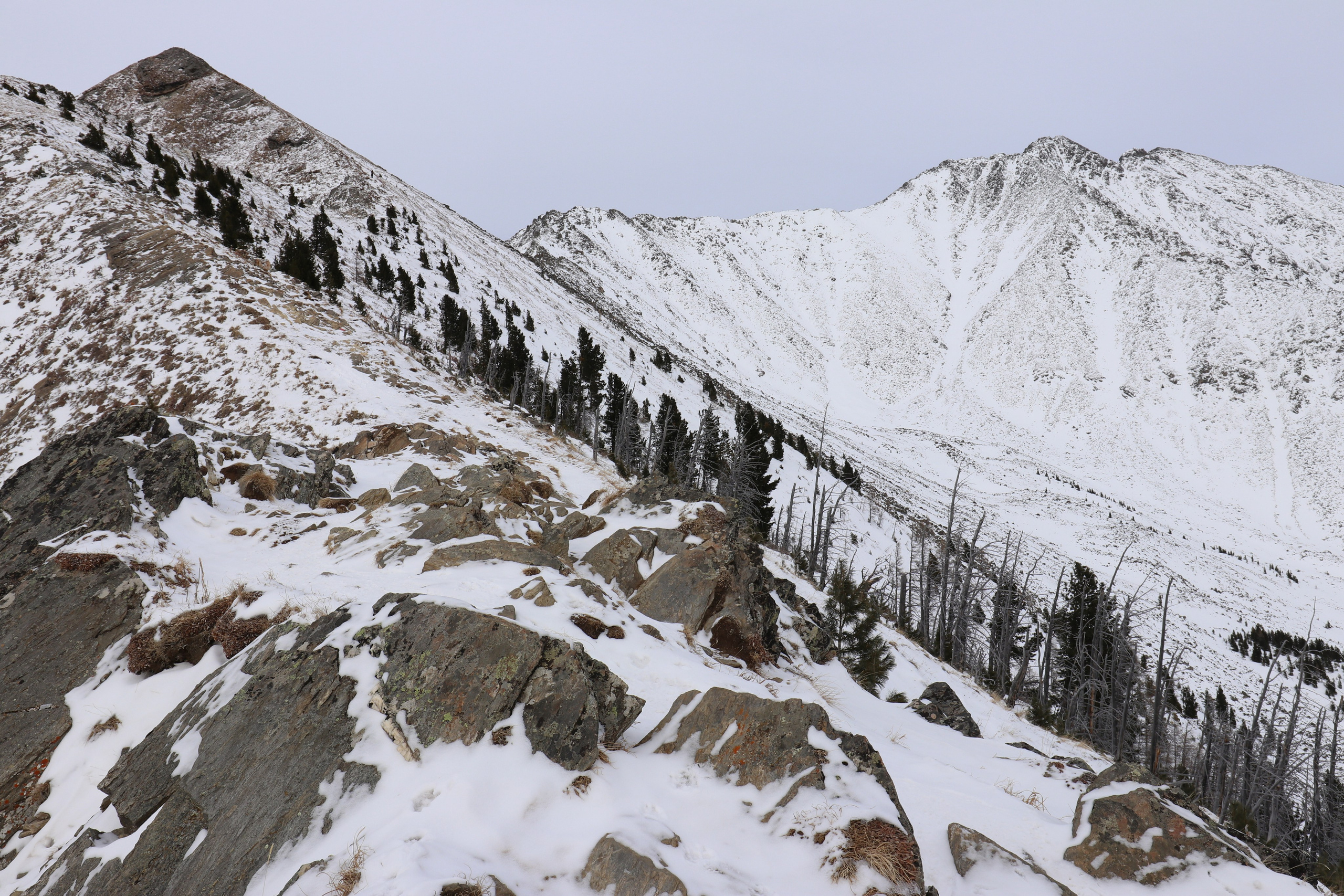 Аршан. Февраль 2025. Путешественник-фотограф из Санкт-Петербурга Татьяна Свистулина