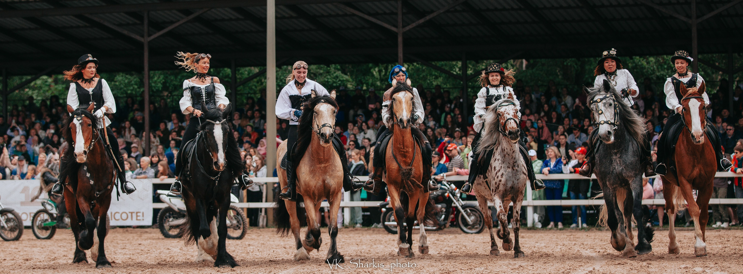 Лошади. Главная