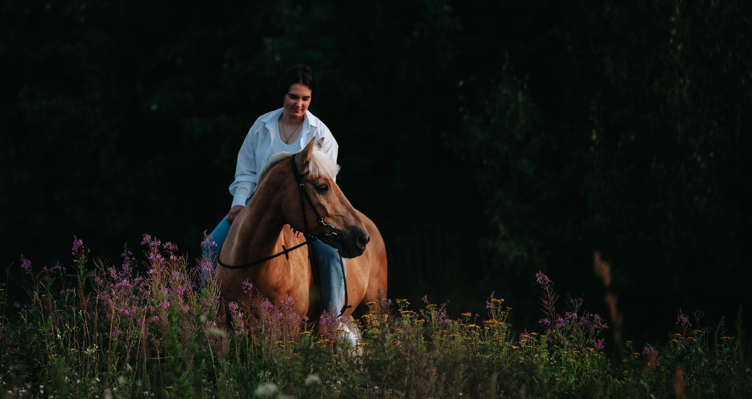 Алина и Гешефт. Главная
