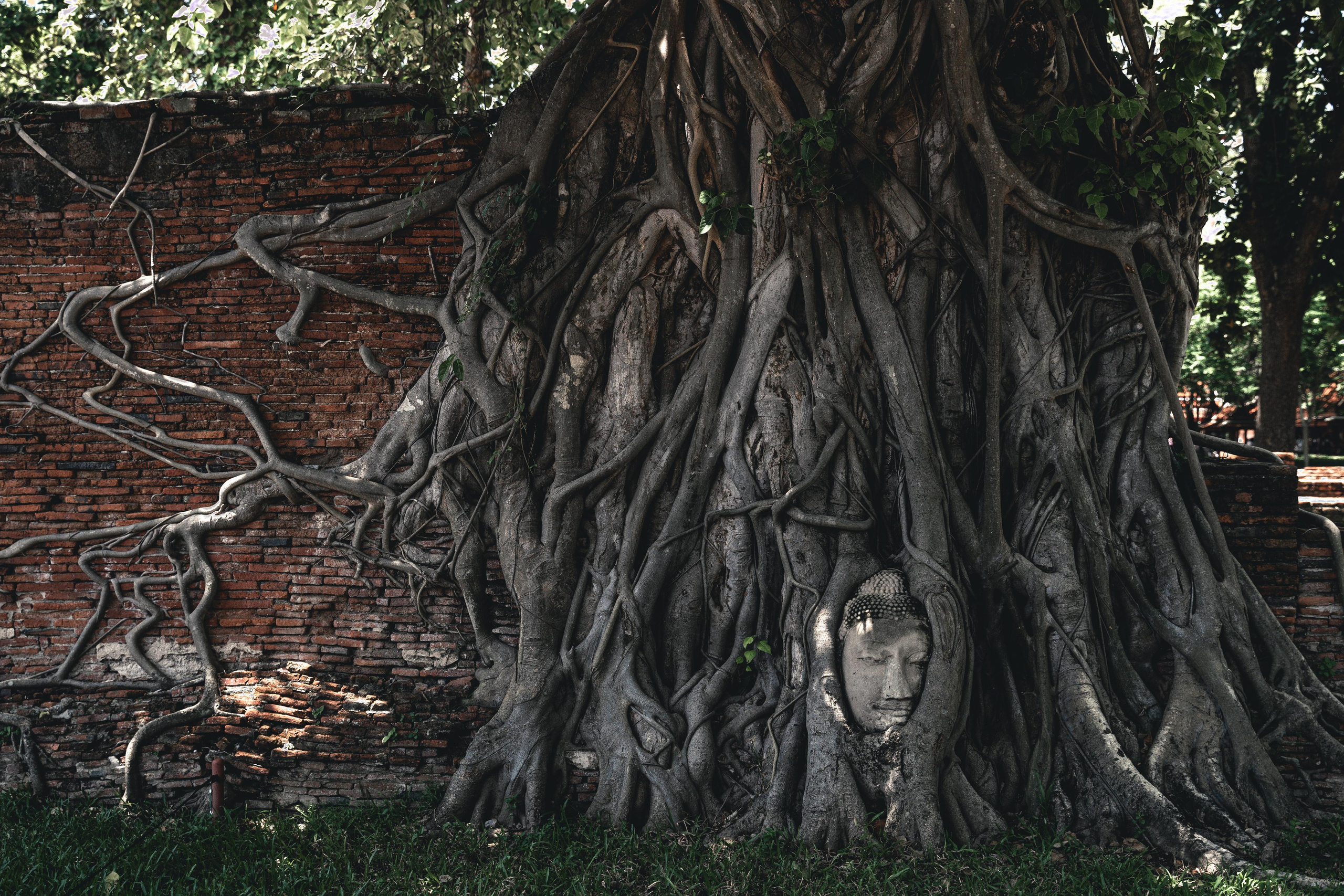 TRAVEL & LANDSCAPES. Photographer Phuket