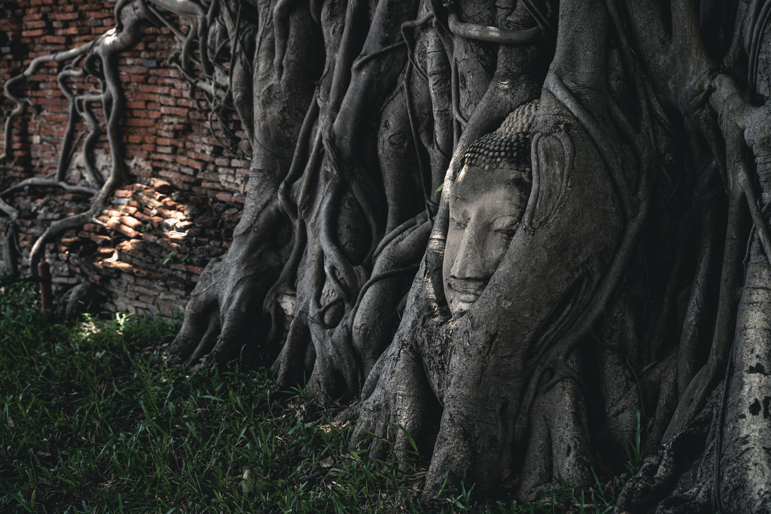 TRAVEL & LANDSCAPES. Photographer Phuket