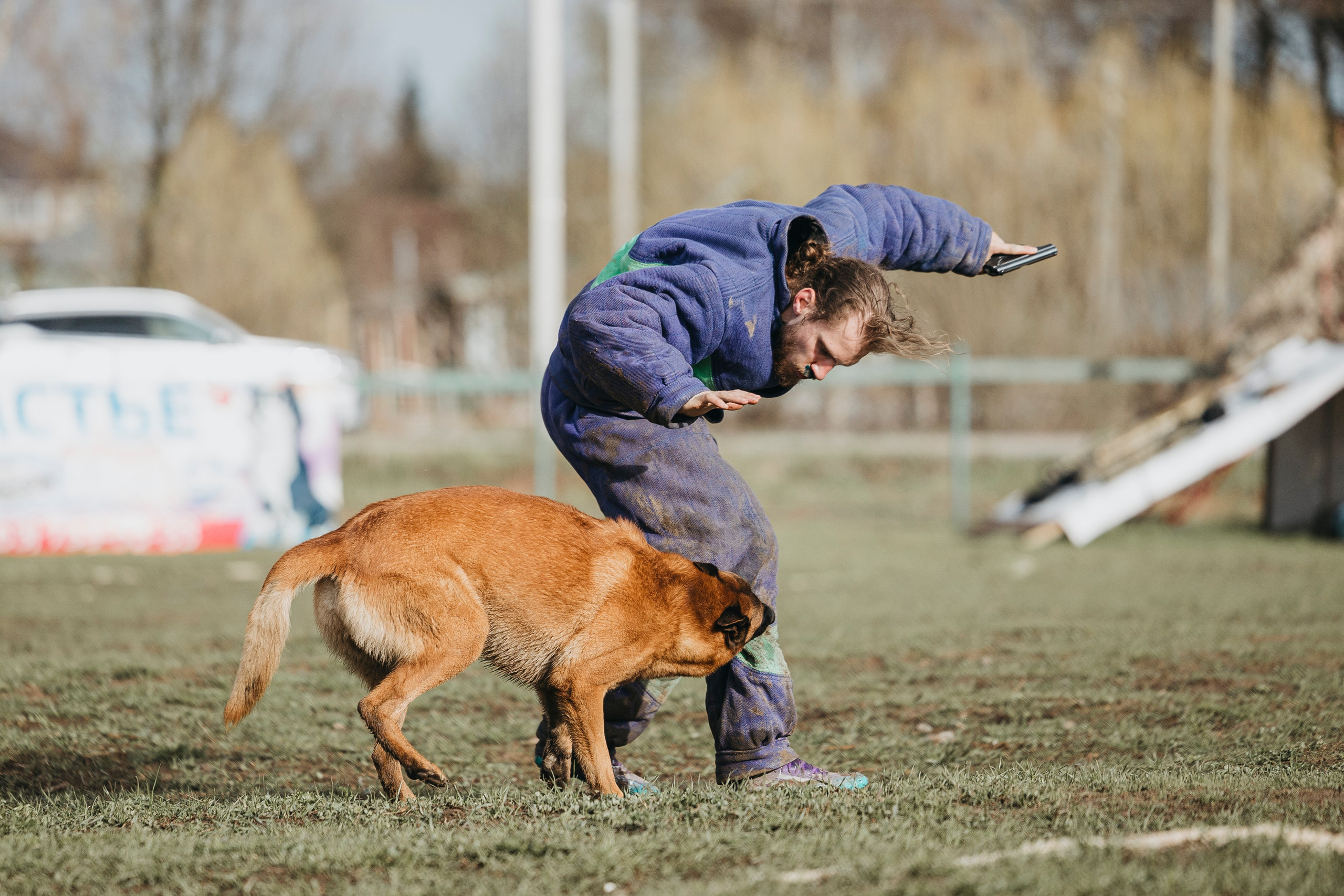 09.05.25 Вологда соревнования. Фотограф-анималист Анна Маринич