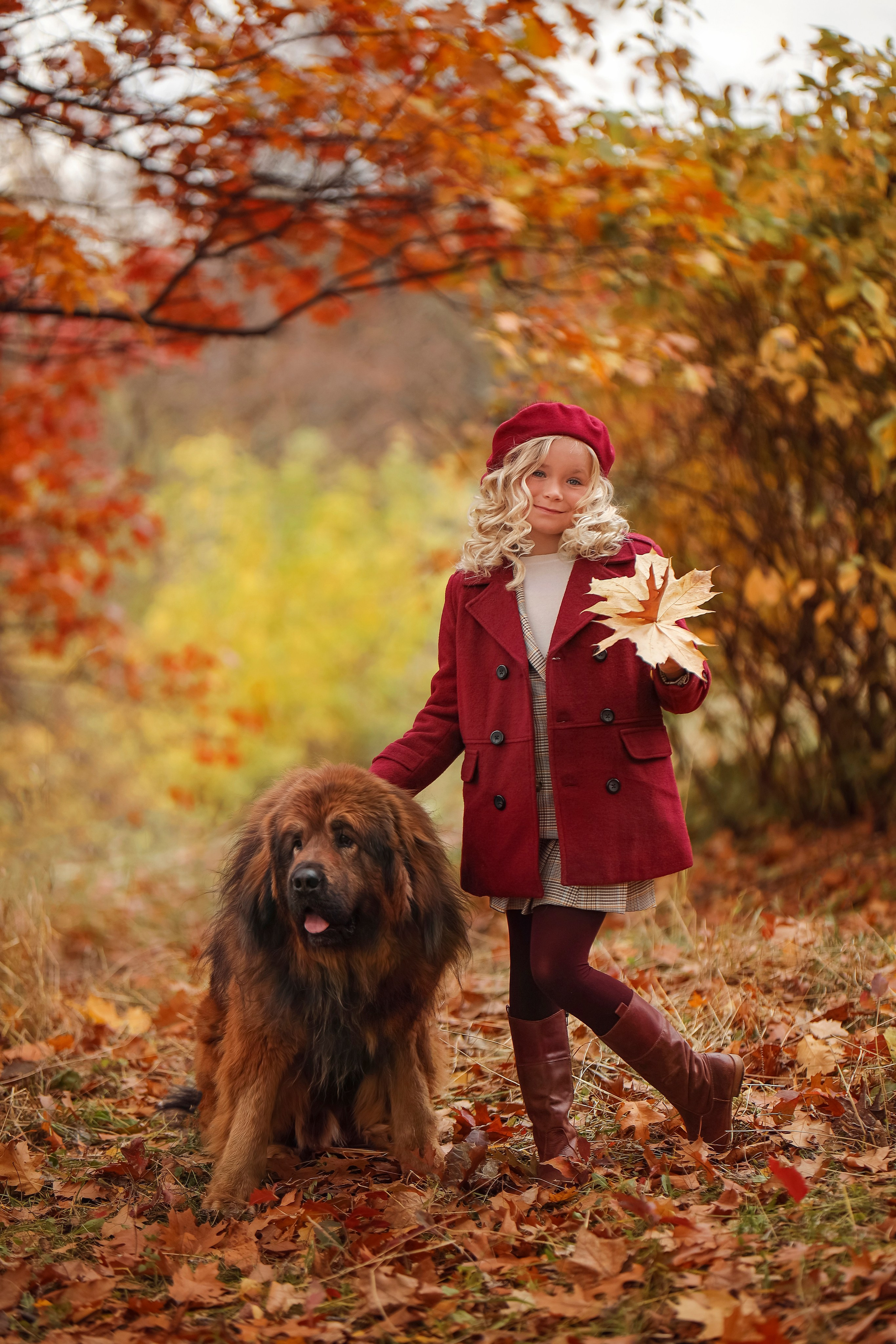 Парк Коломенское с Мастифами. Детский и семейный фотограф г. Москва Оксана Катаджи