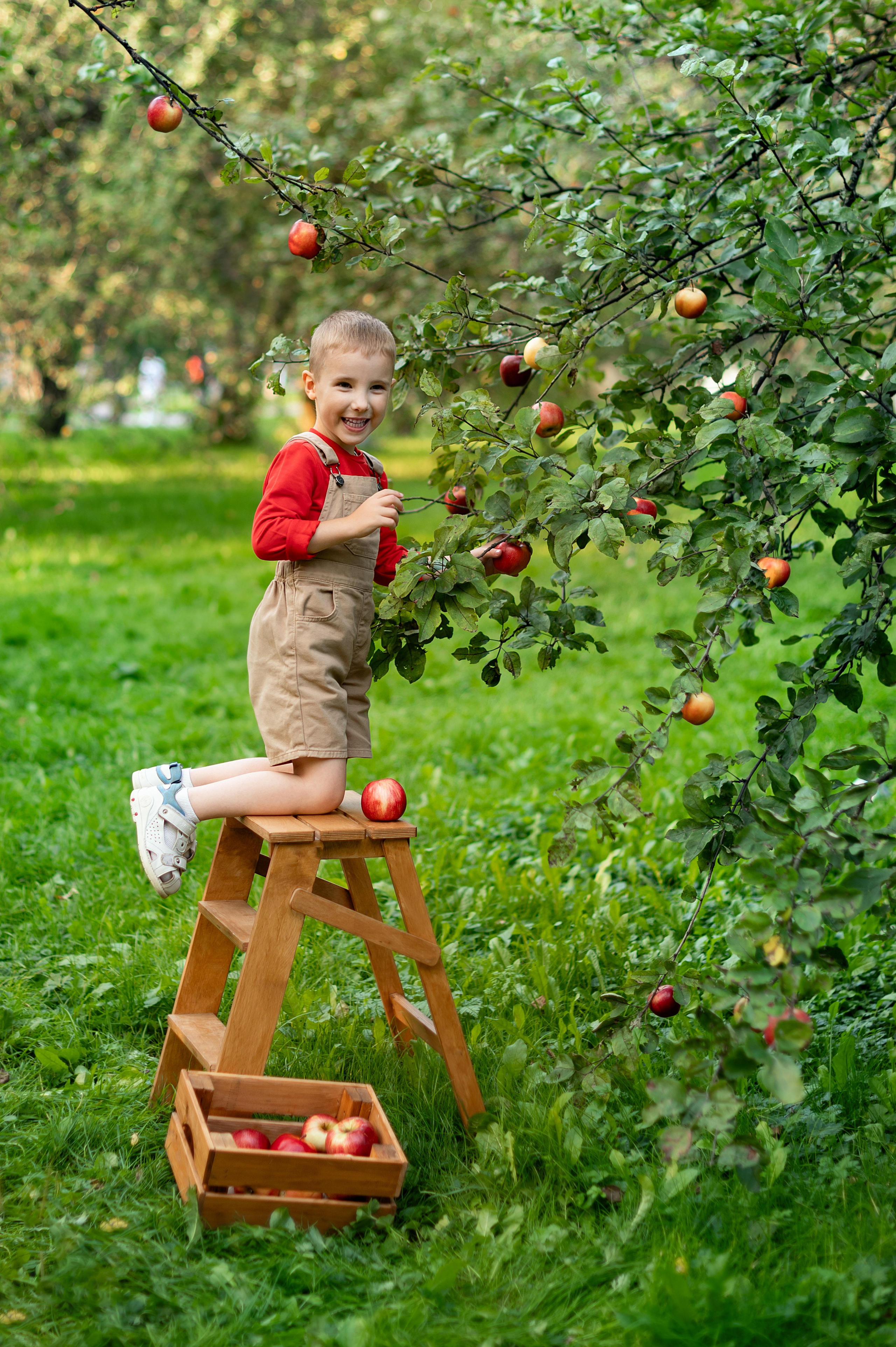 Яблоки. Детский и семейный фотограф г. Москва Оксана Катаджи