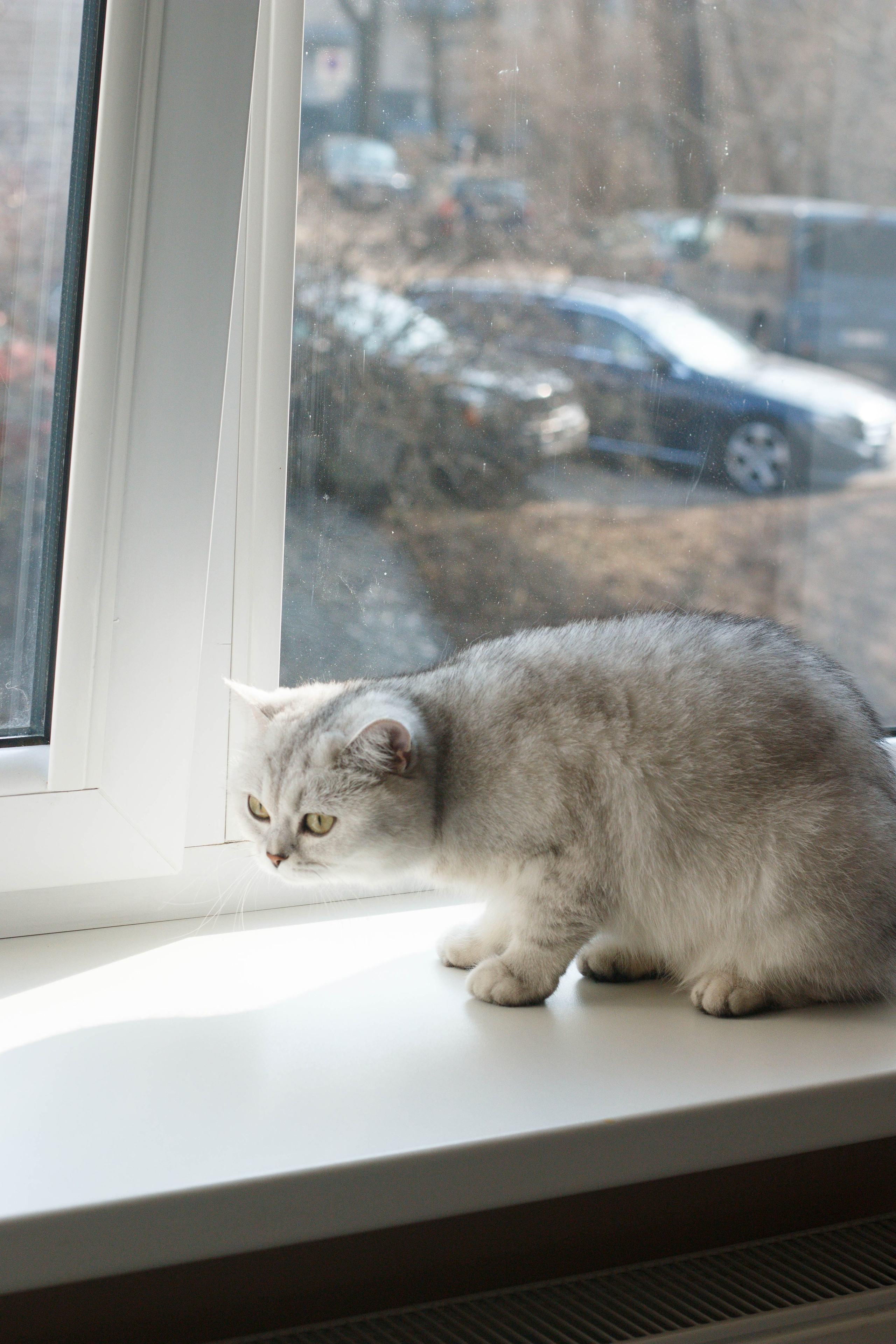 NASTYA & KITTI. Бережно сохраняю ваши чувства и истории на своих фотографиях