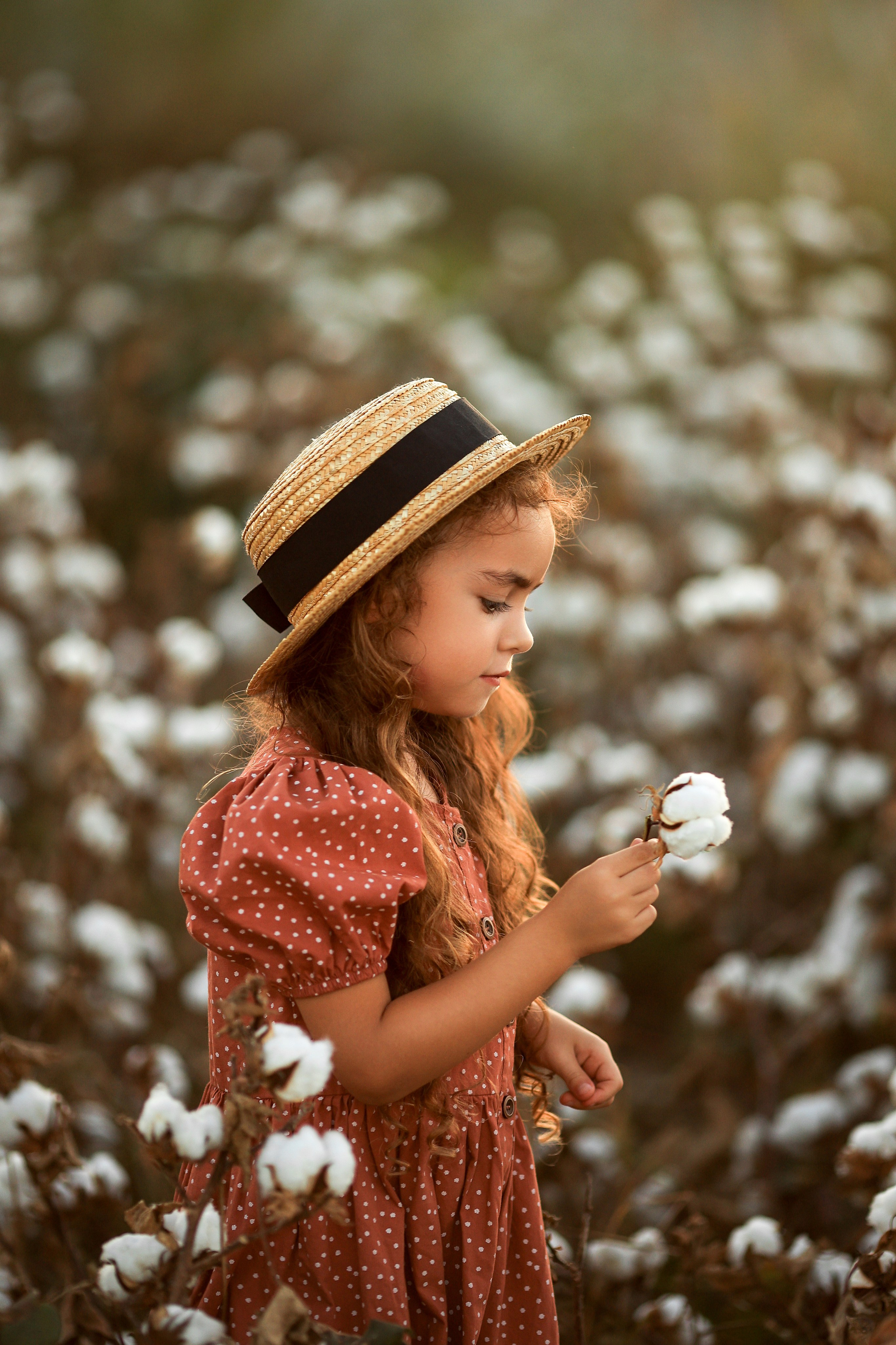 Photoshooting on cotton field