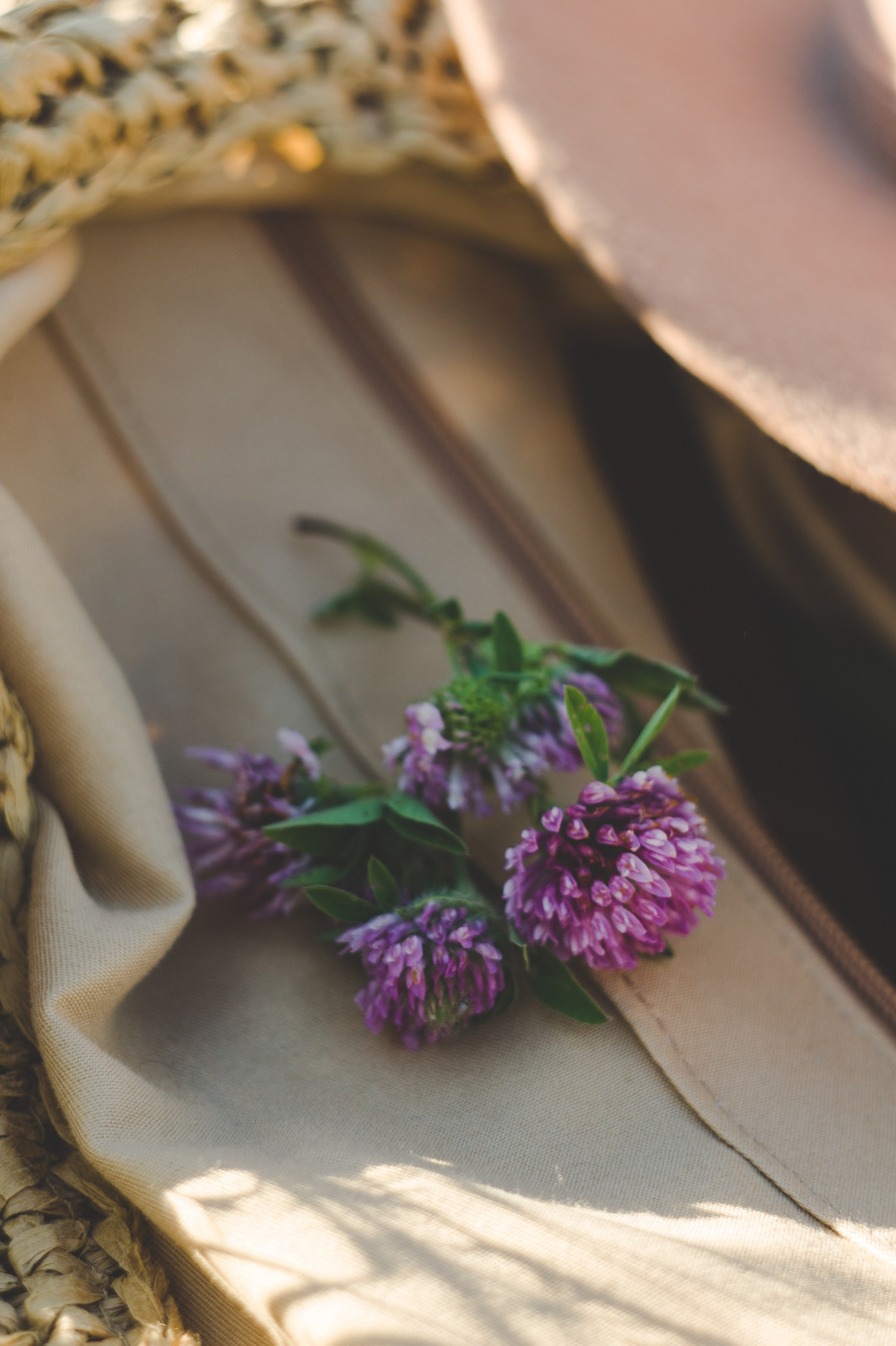 Людмила. Фотограф Людмила Белова