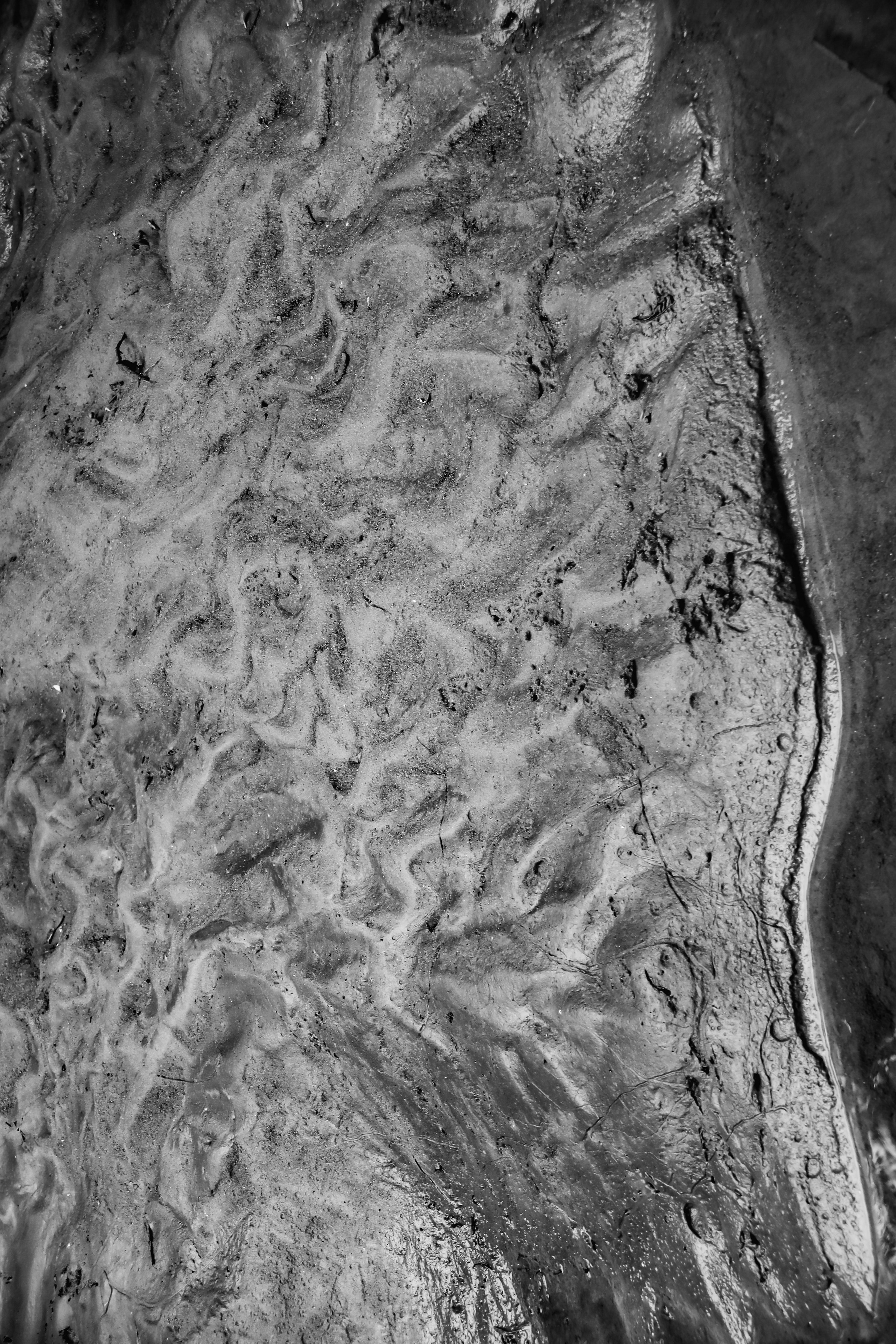 I. Стас Привалов